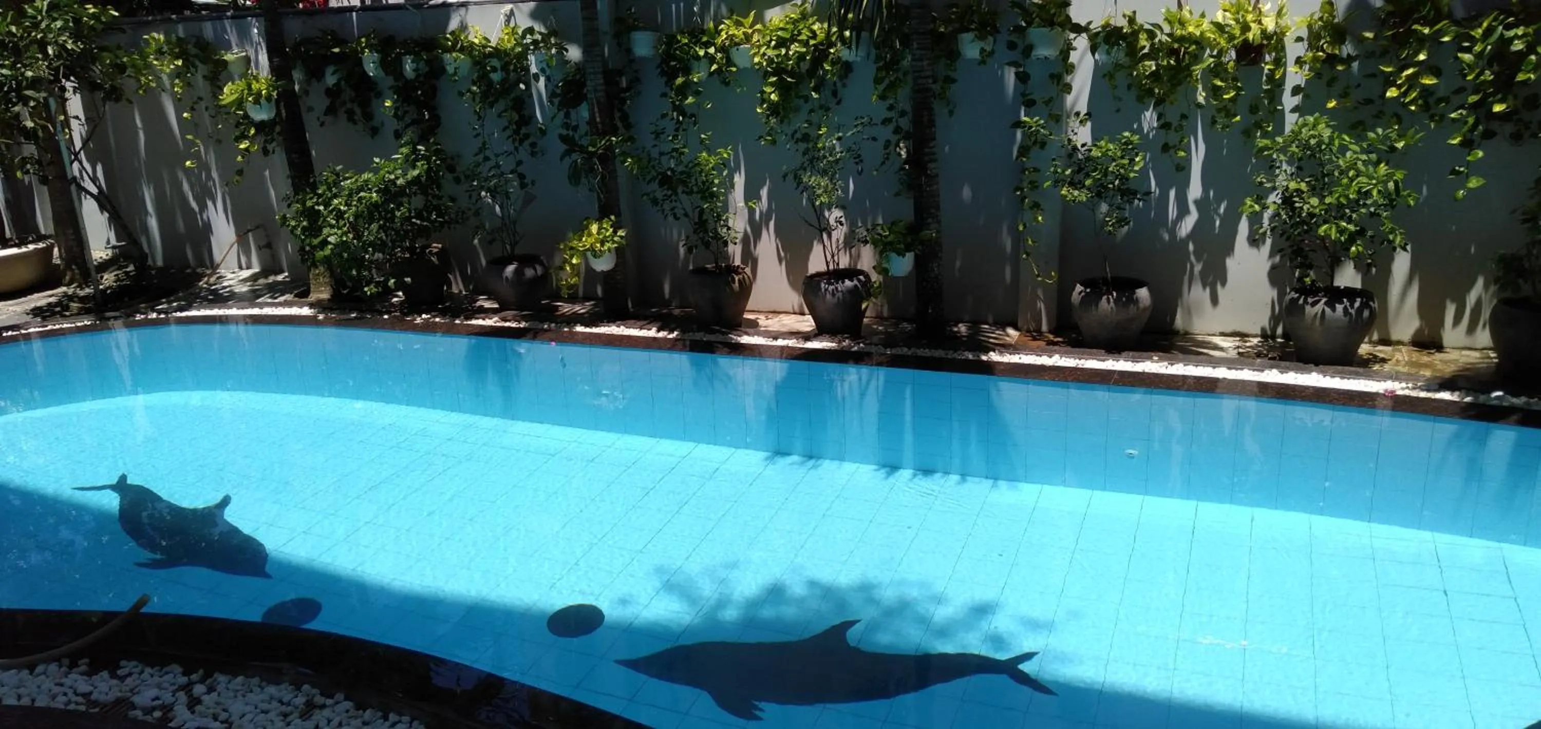 Pool view in The Moon Villa Hoi An