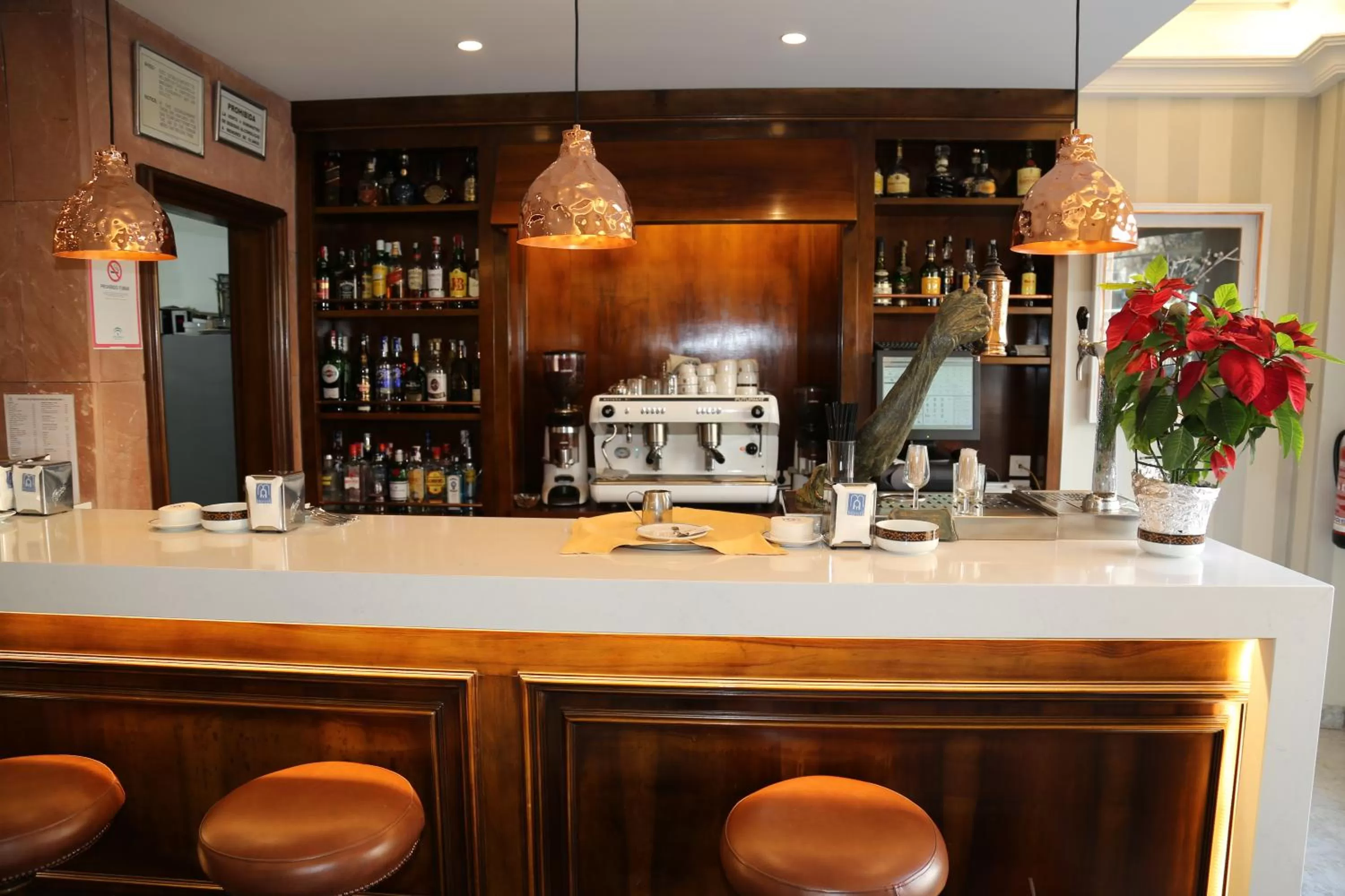 Lounge or bar in Princesa Ana