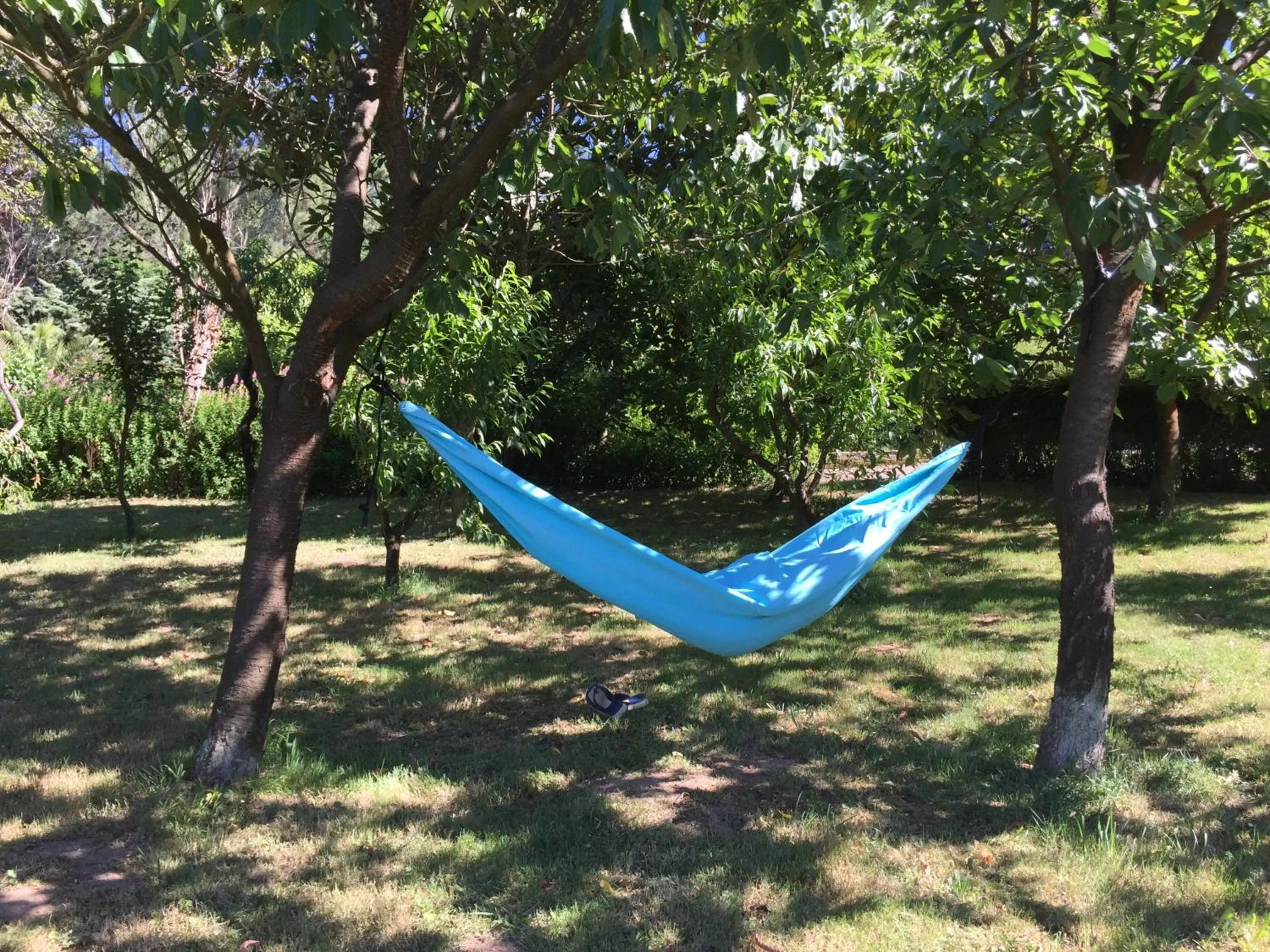 Area and facilities in Agro da Gandarela