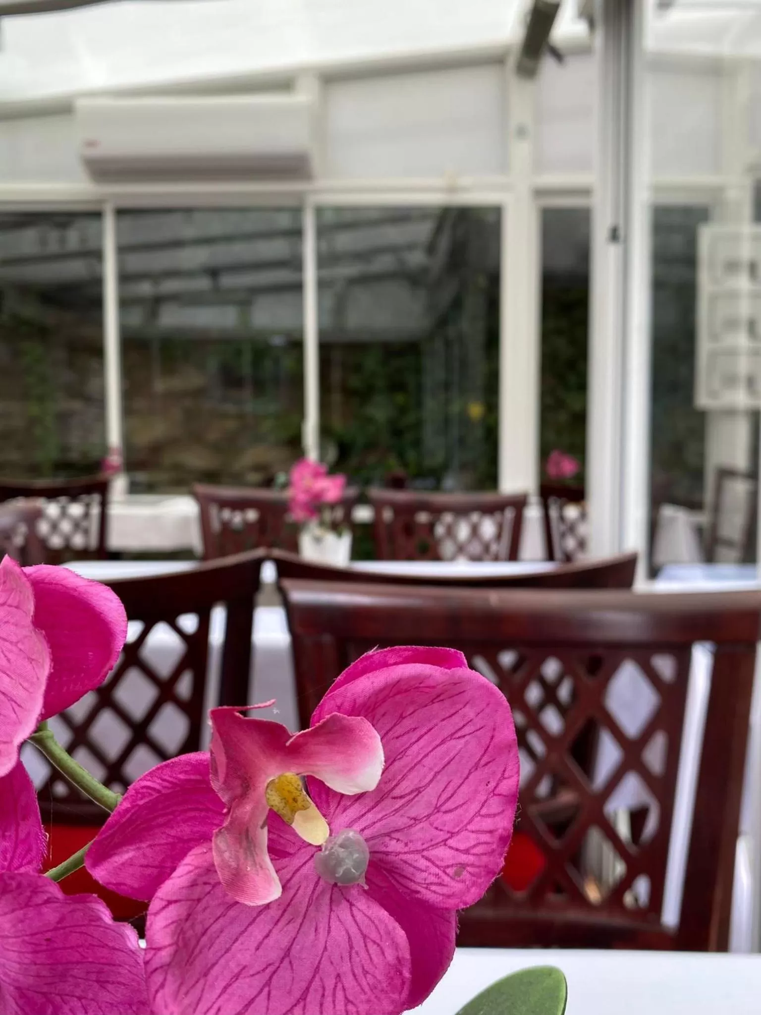 Restaurant/places to eat in Spa & Pool Apartment Hotel - Restaurant VILLA IVICA