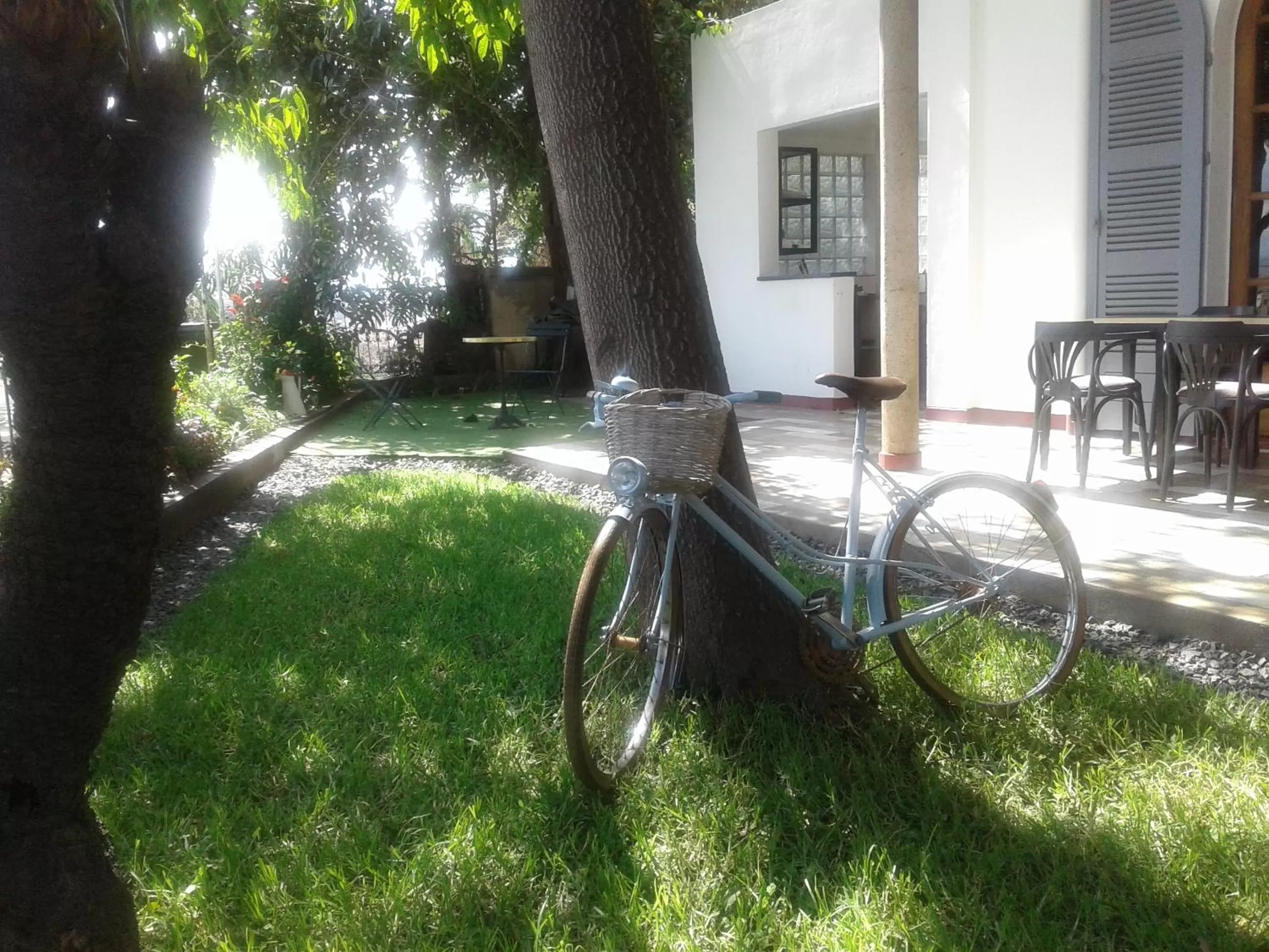 Garden in The Citizen