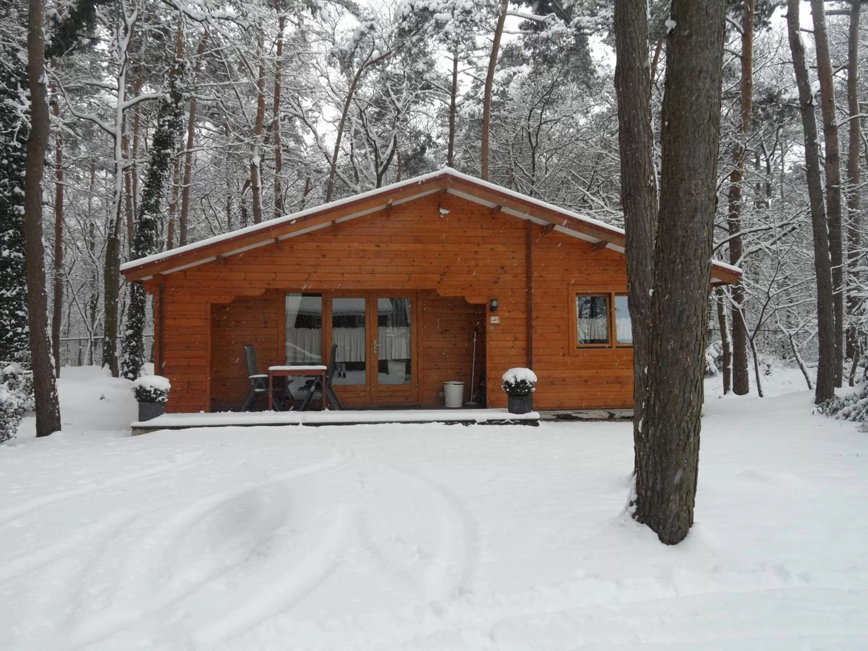 Facade/entrance, Winter in Motel- Bungalow-& Chaletpark de Brenkberg