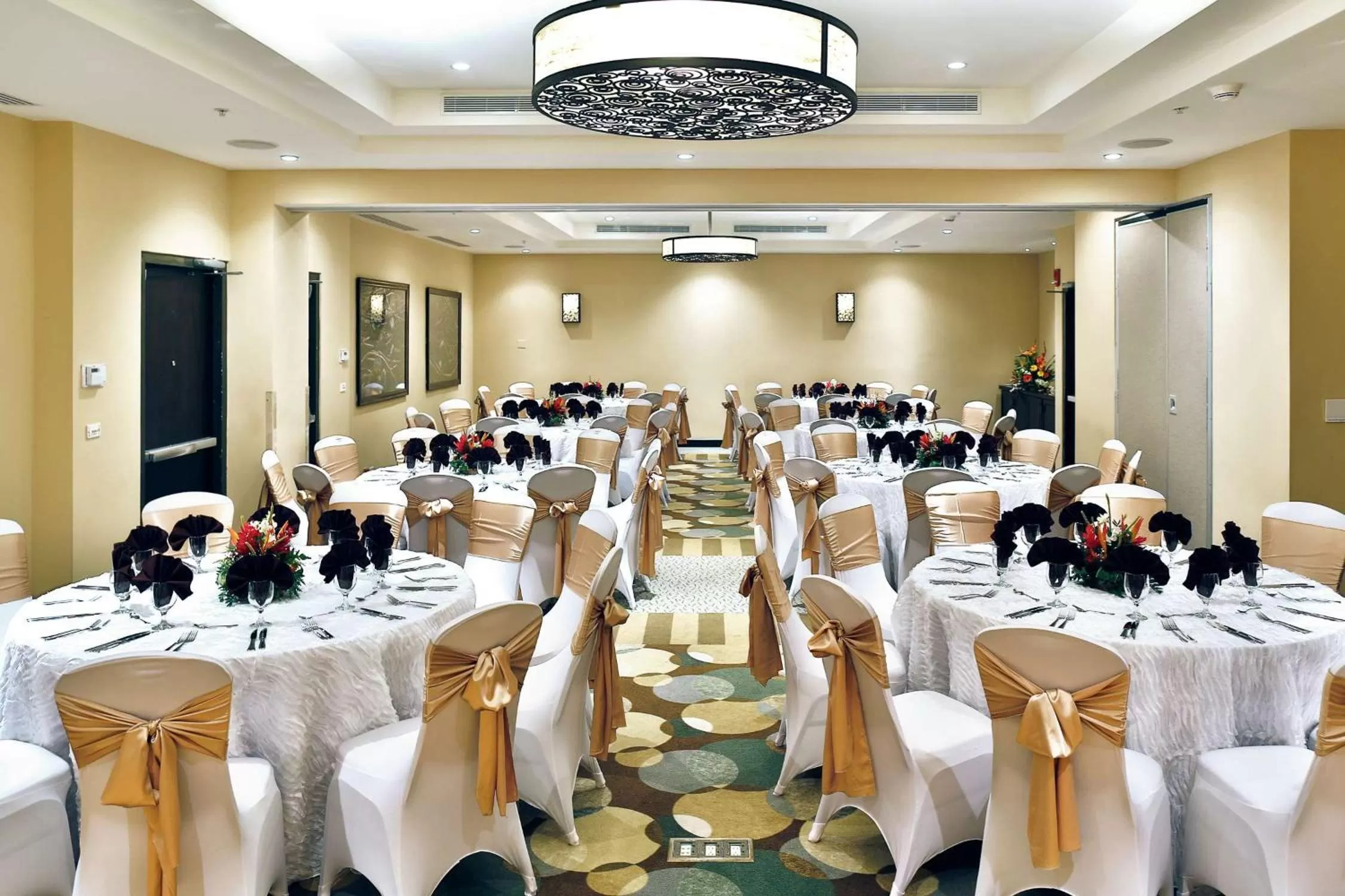 Meeting/conference room in Hilton Garden Inn Guanacaste Airport