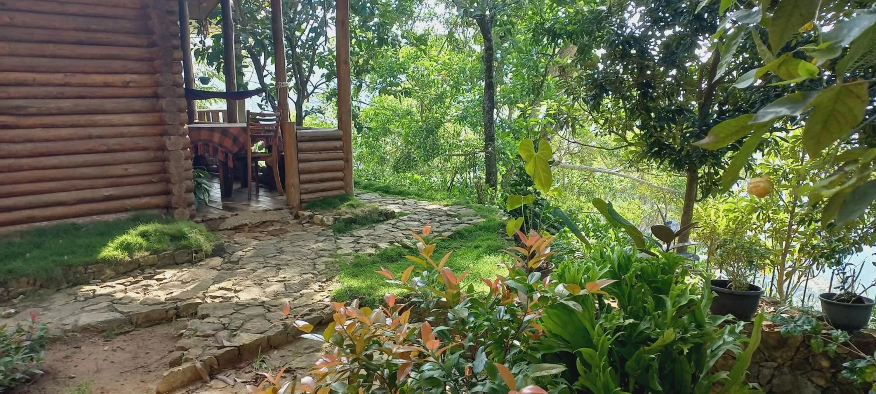Garden in Felicity Inn