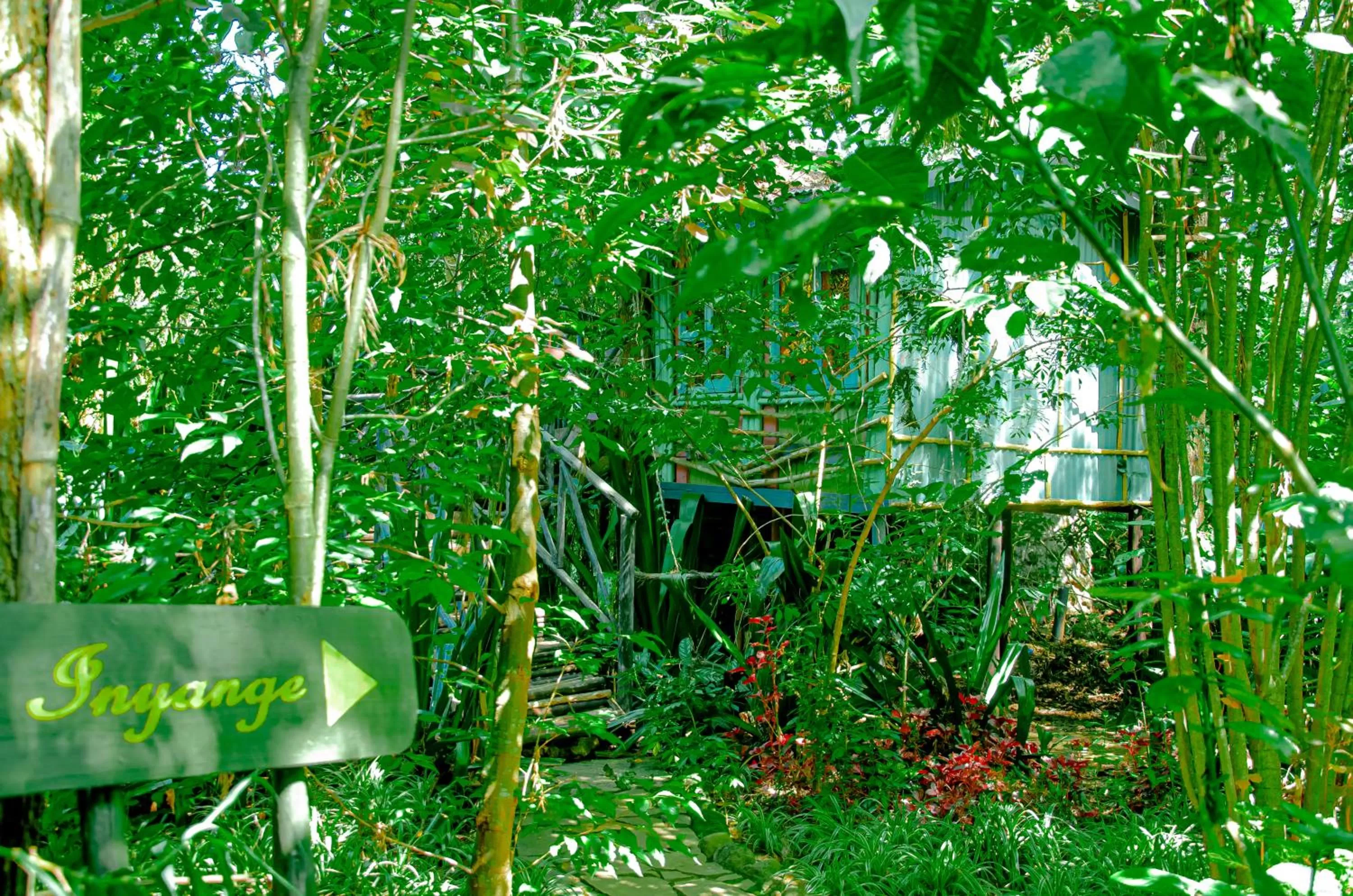 Garden in Fravan Eco Resort By Apogee