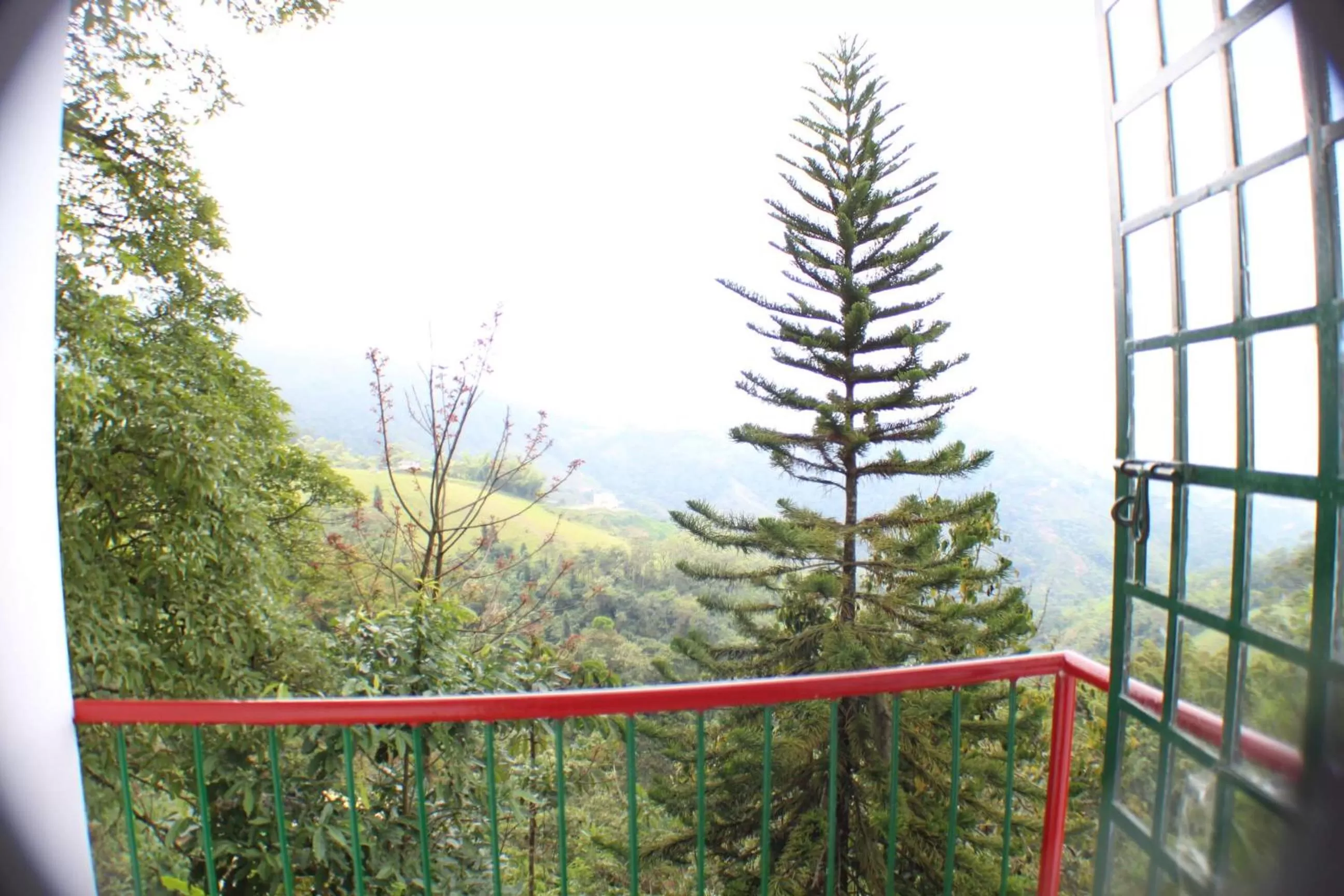 Balcony/Terrace in Eco Lodge La Juanita