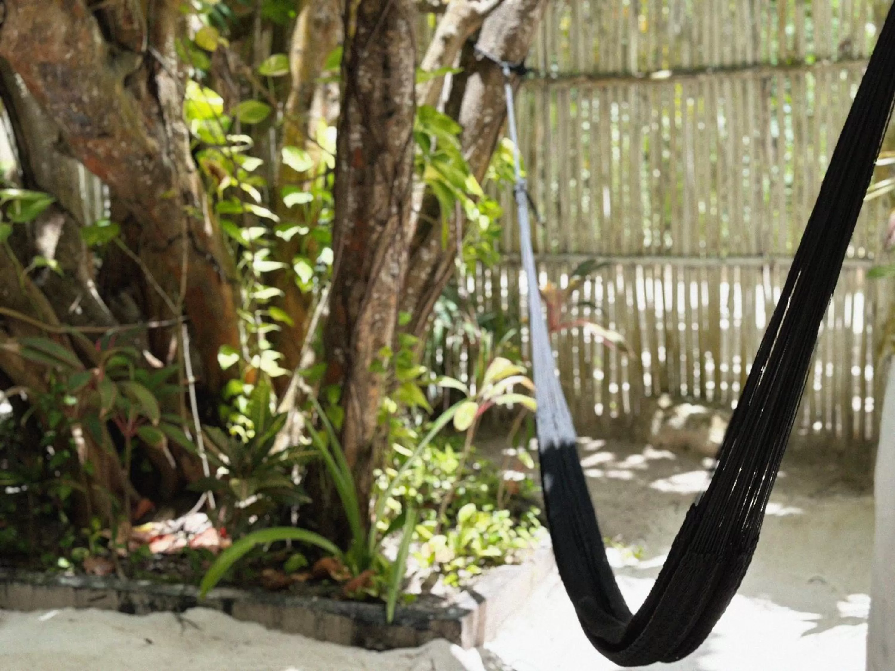 Garden in Coco Tulum Zen Zone Hotel