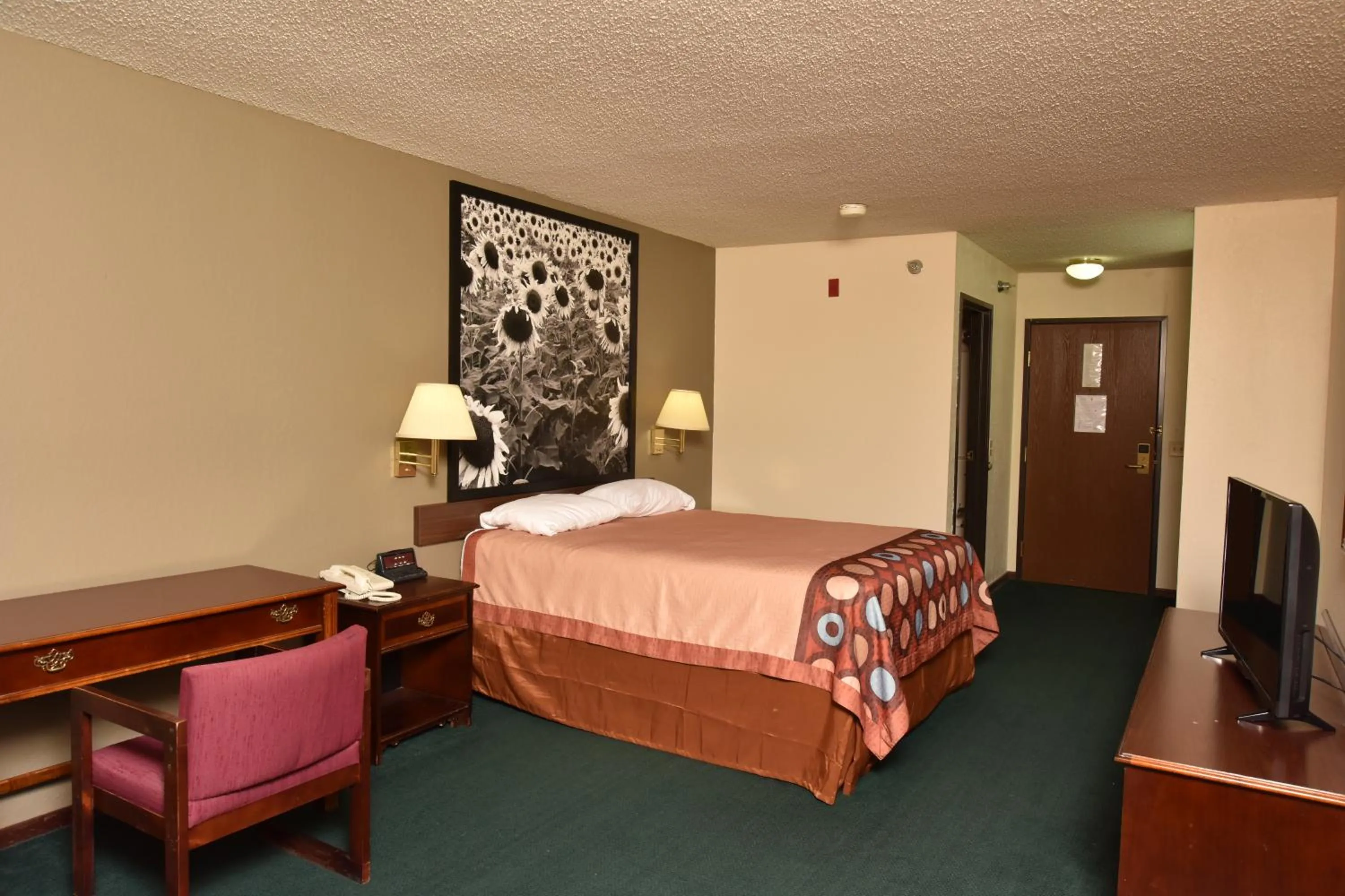 Bed in Super 8 by Wyndham Springfield-Battlefield