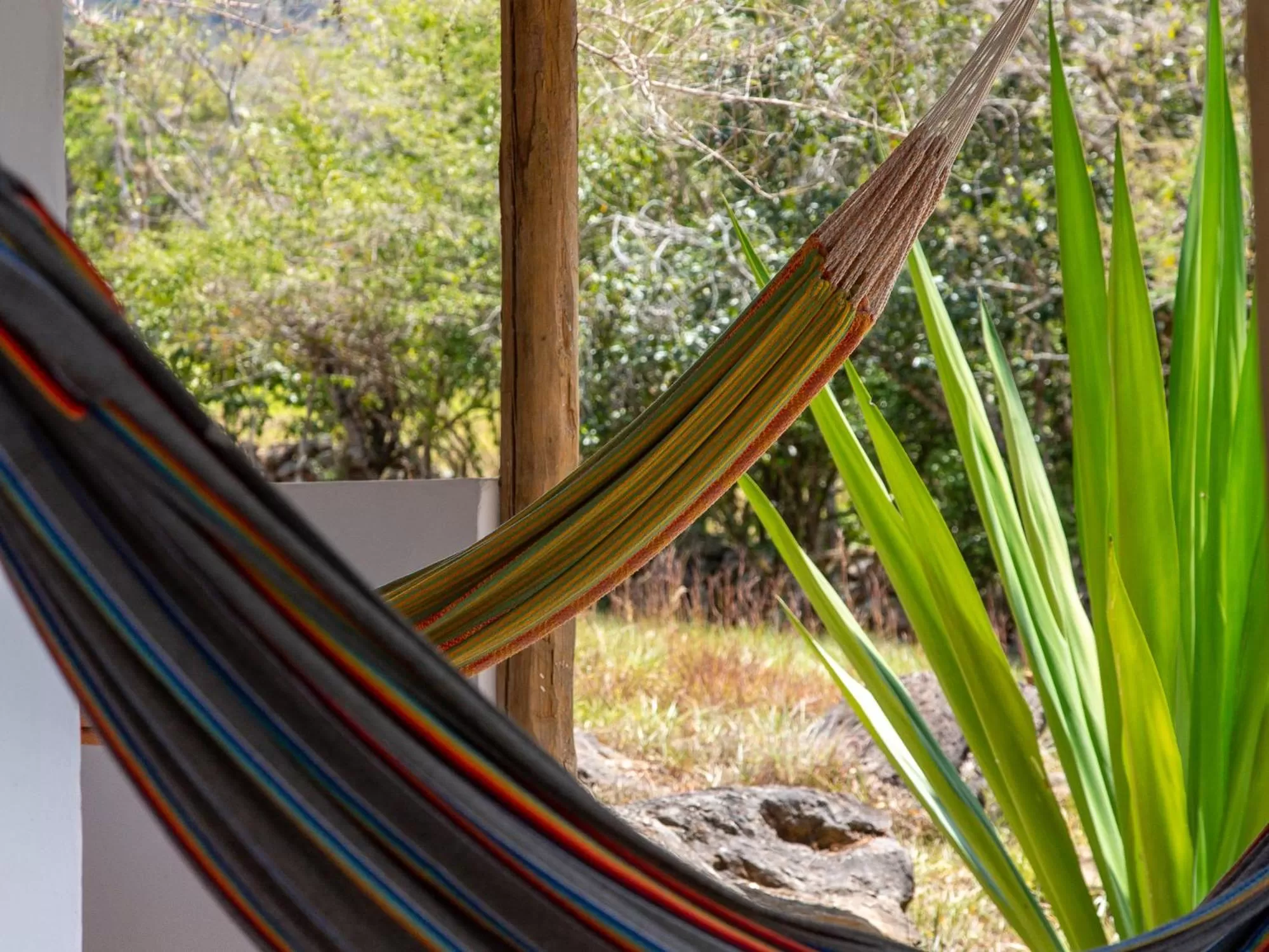 Balcony/Terrace in Finca San Pedro