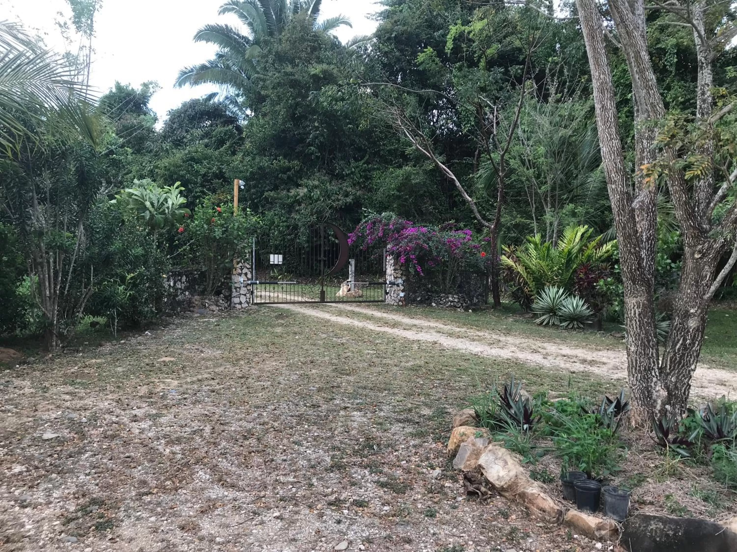 Area and facilities in Sattva Land