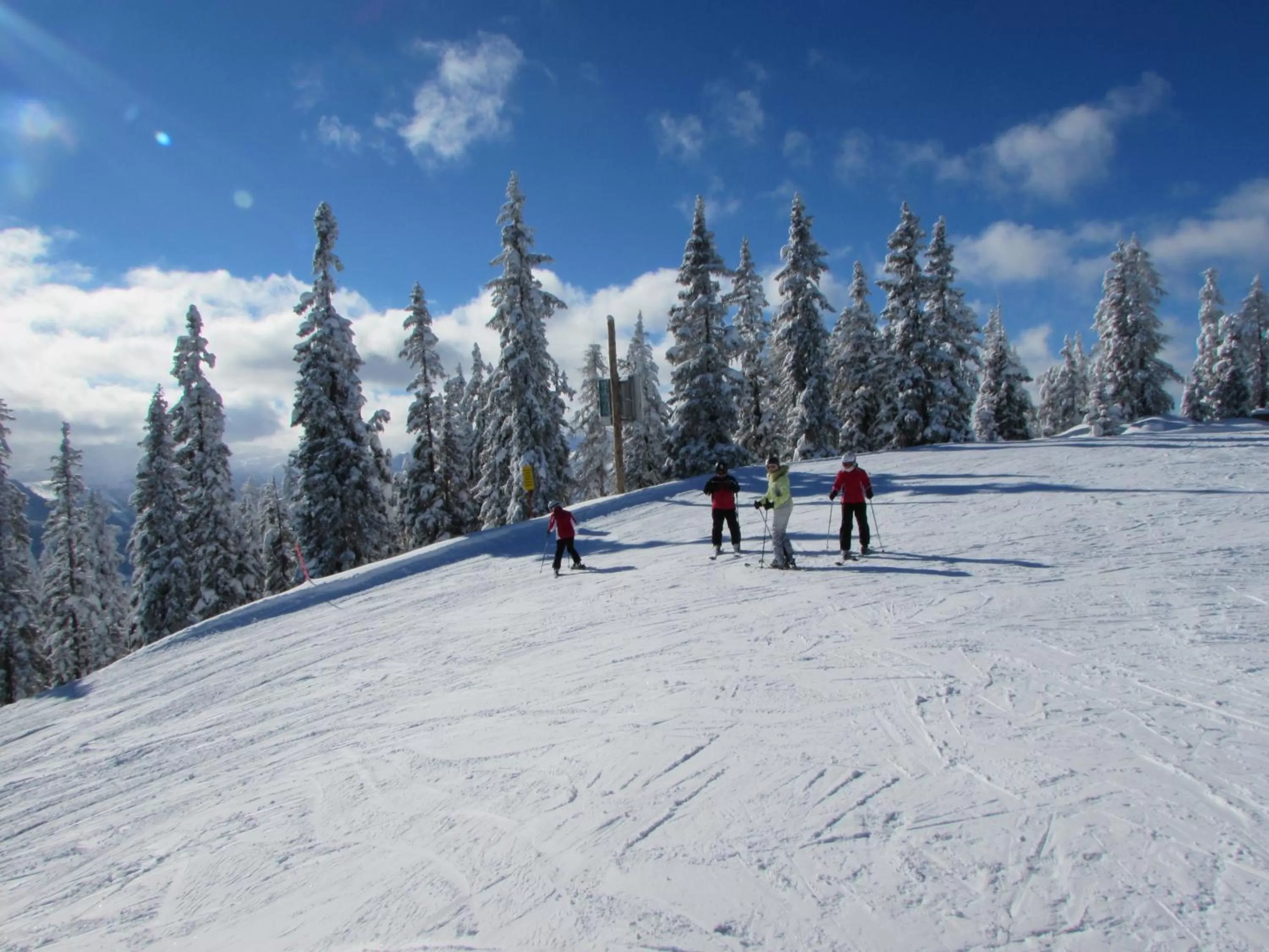 Skiing in Gästehaus Pürstl-Kocher
