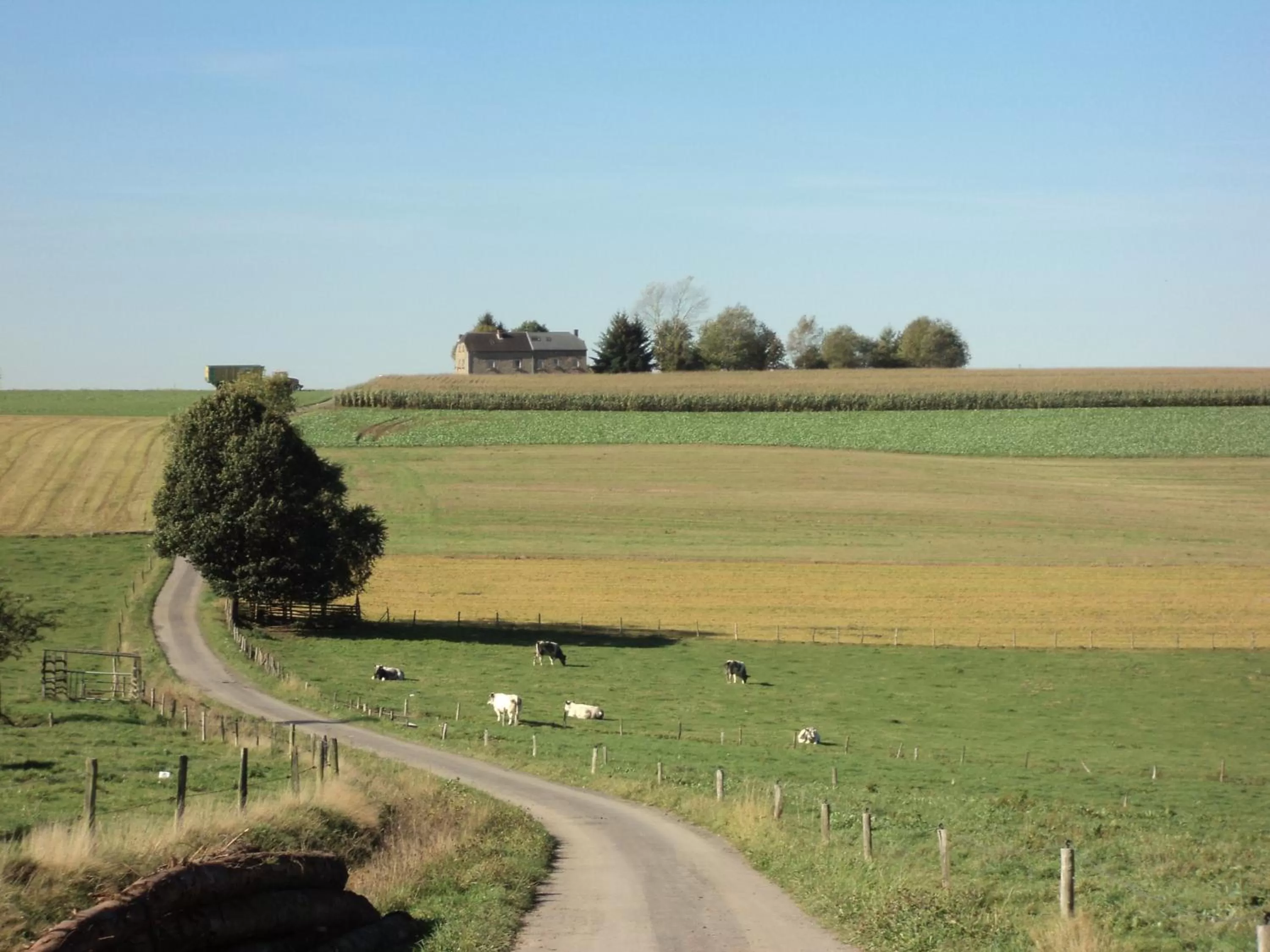 Natural landscape in B&B La Niouche