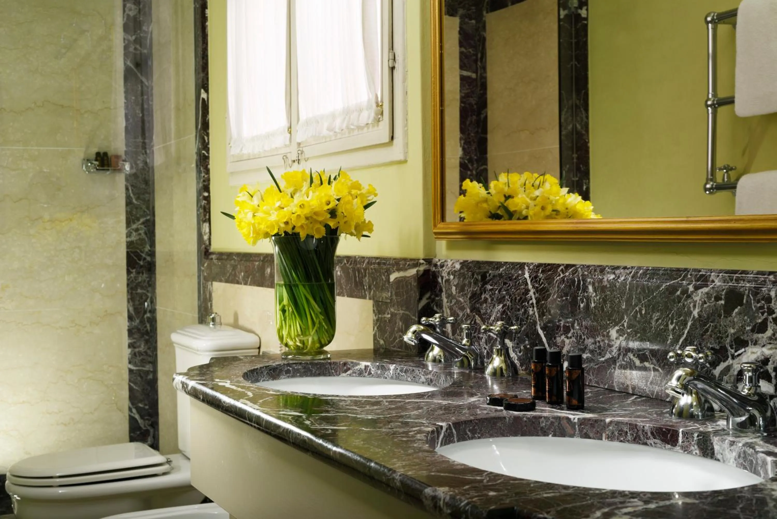 Bathroom in Al Palazzo del Marchese di Camugliano Residenza d'Epoca