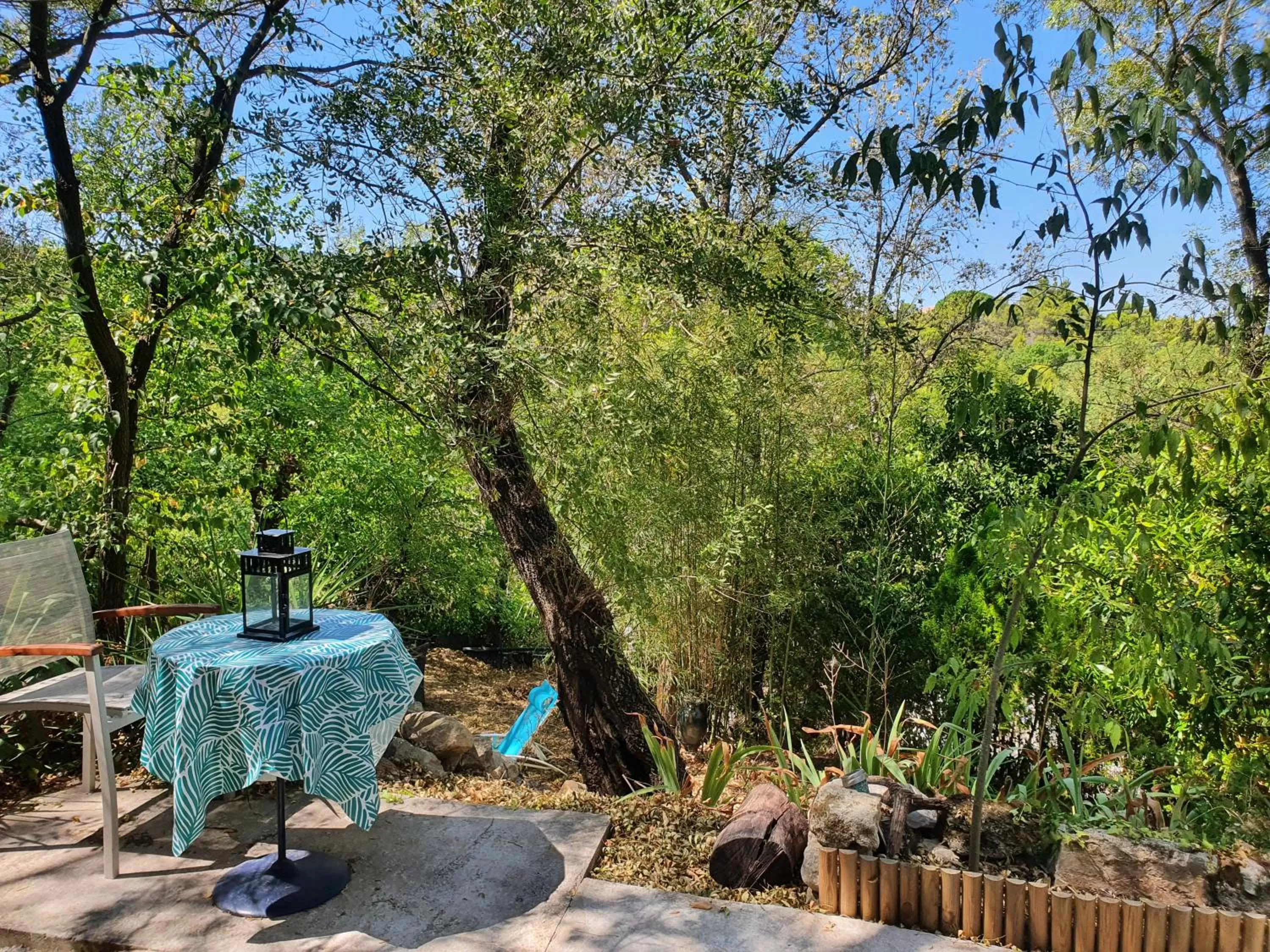 Garden in Chambres d'hôtes Le Bois Des Frênes