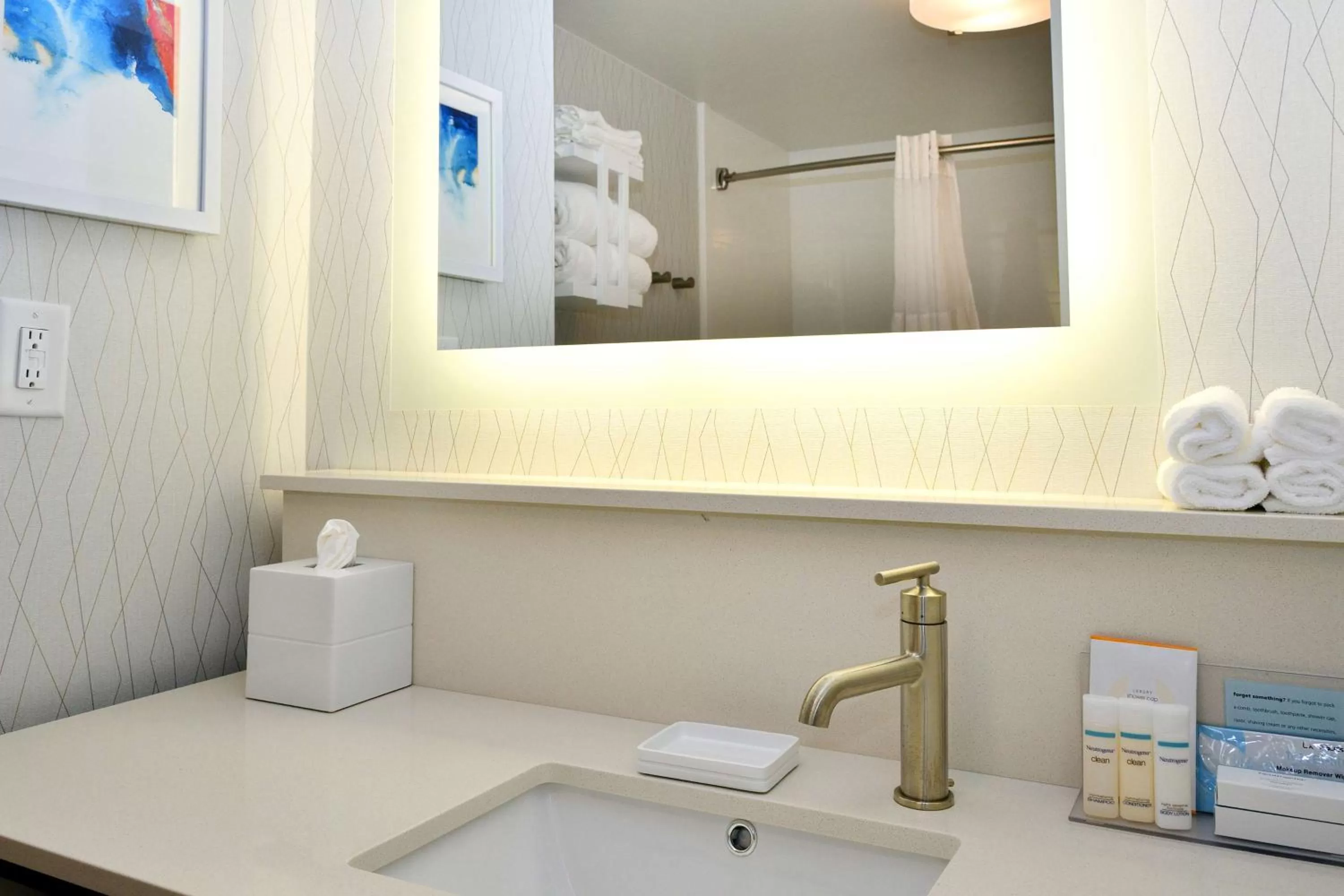 Bathroom in Hampton Inn Santee-I-95