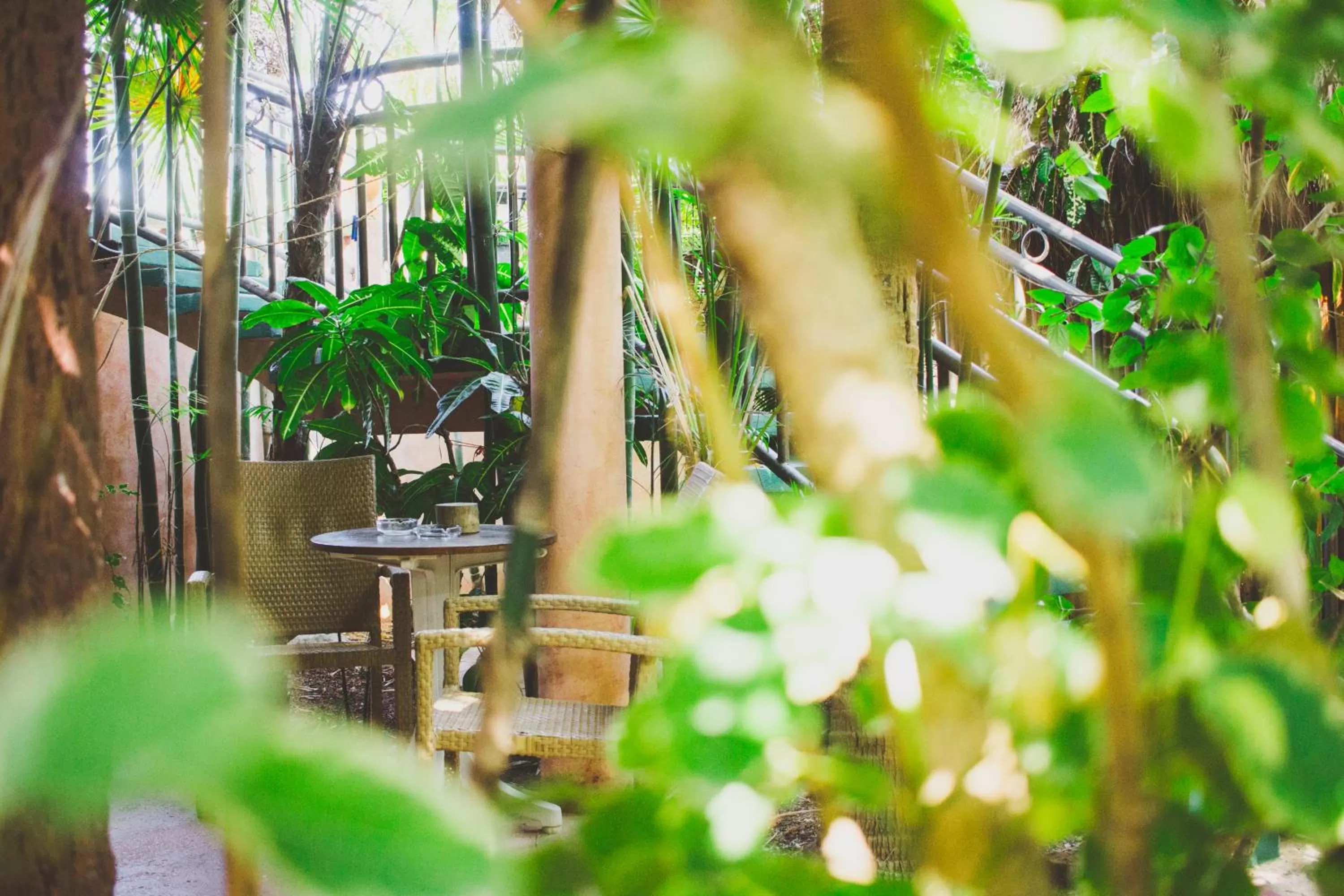 Balcony/Terrace in Cocos Cabañas Playa del Carmen Adults Only