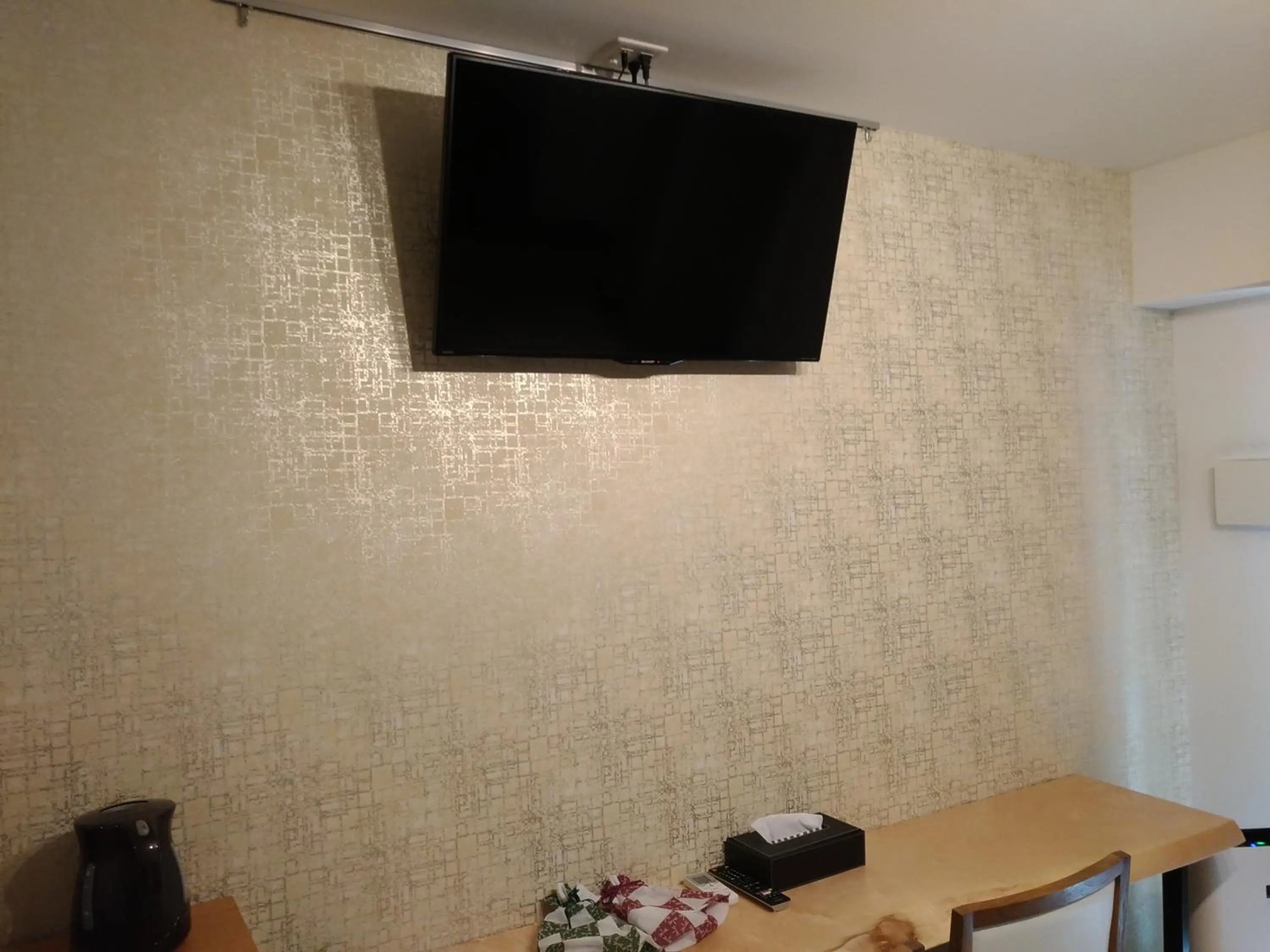 TV and multimedia in Hotel Axas Nihonbashi