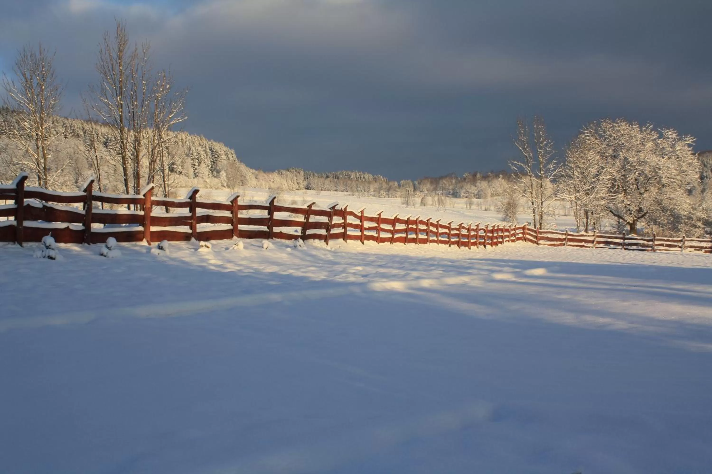 Garden view, Winter in Dom na Klonowym Wzgórzu