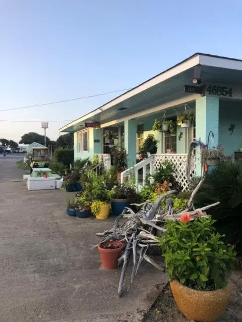 Swell Motel Swell Motel