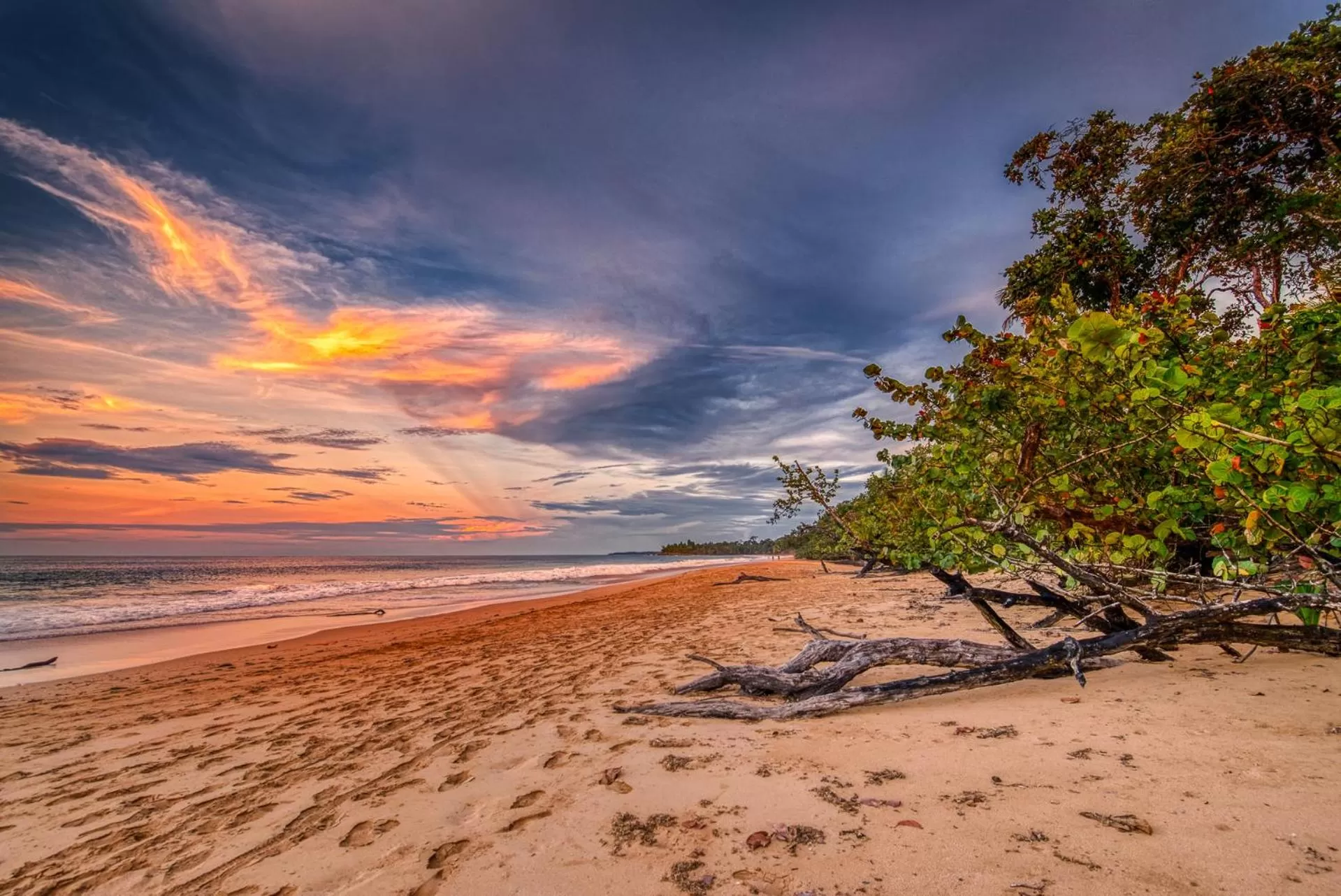 Natural landscape, Beach in Oasis Bluff Beach