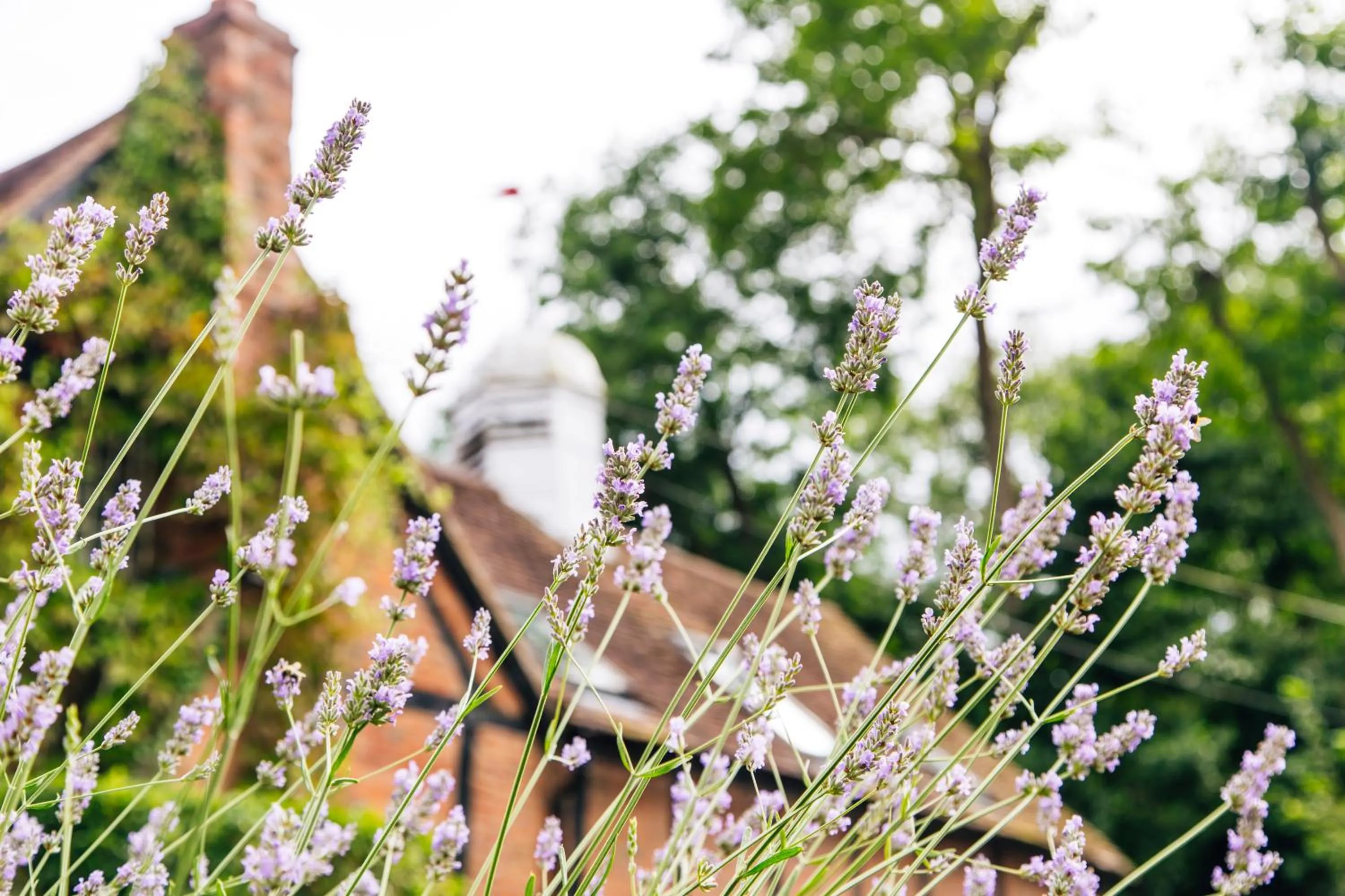 Property building in Old Rectory House, Redditch