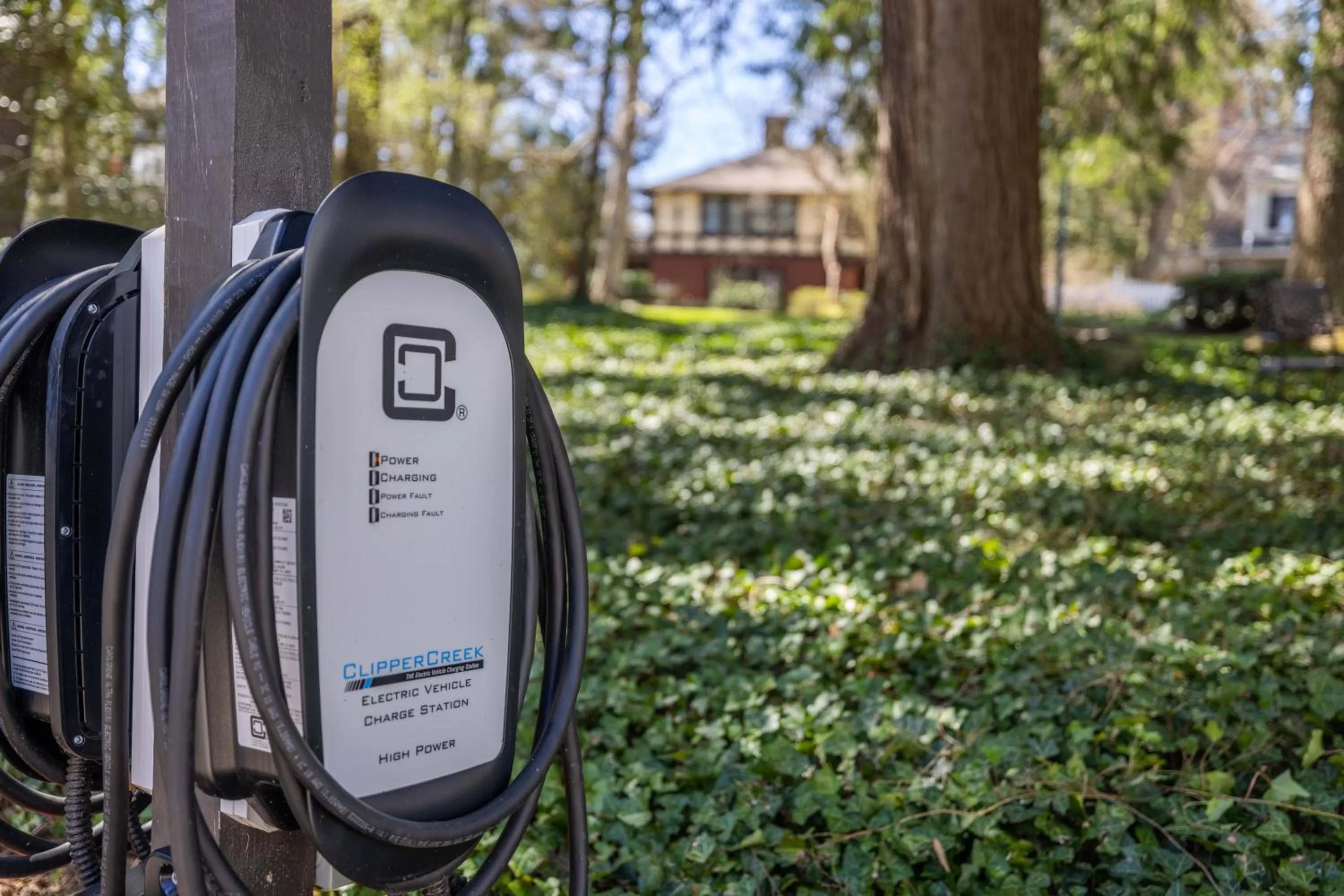 Garden in The 1899 Wright Inn & Carriage House