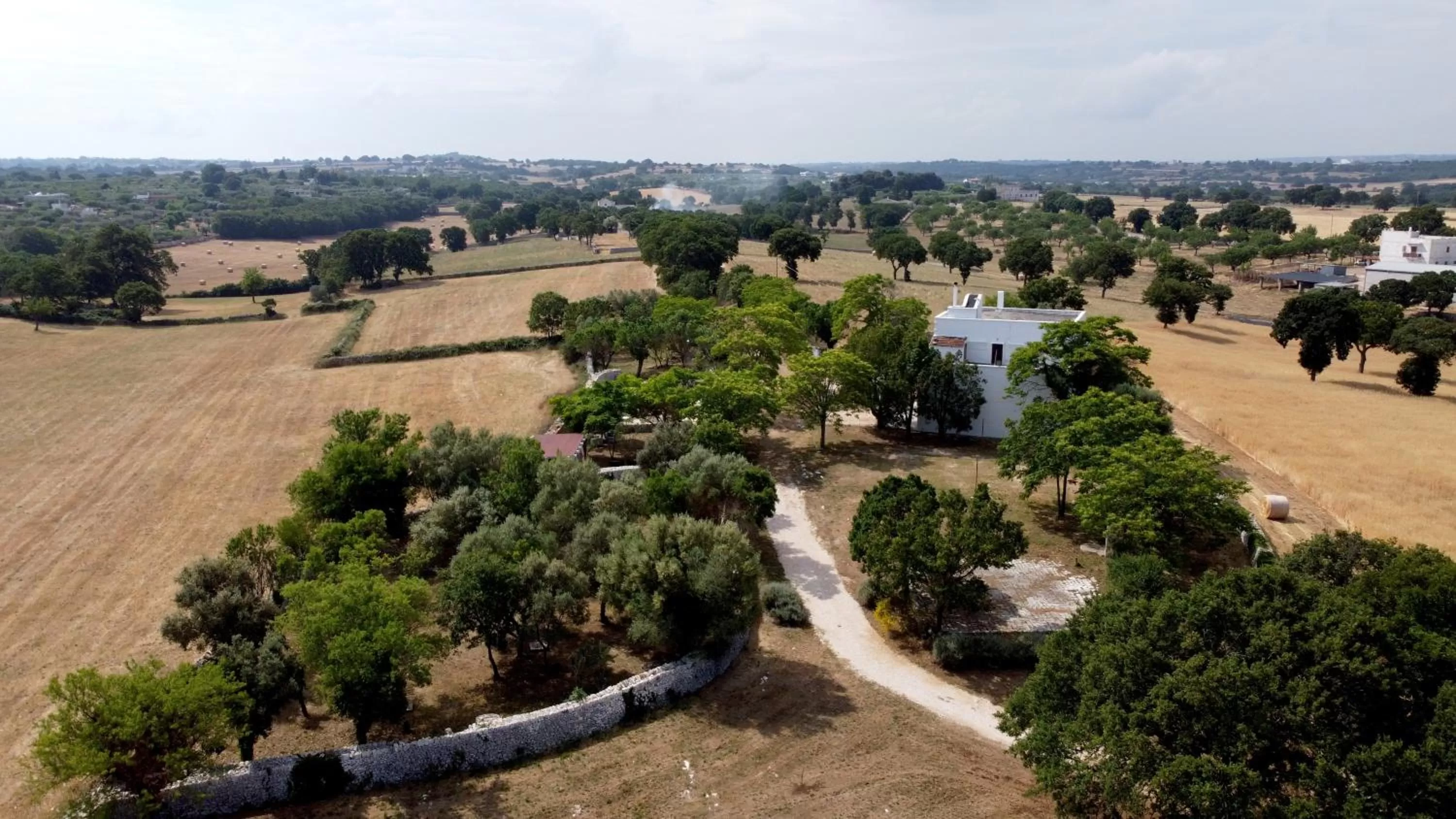 Bird's eye view, Bird's-eye View in B&B Masseria Santanna