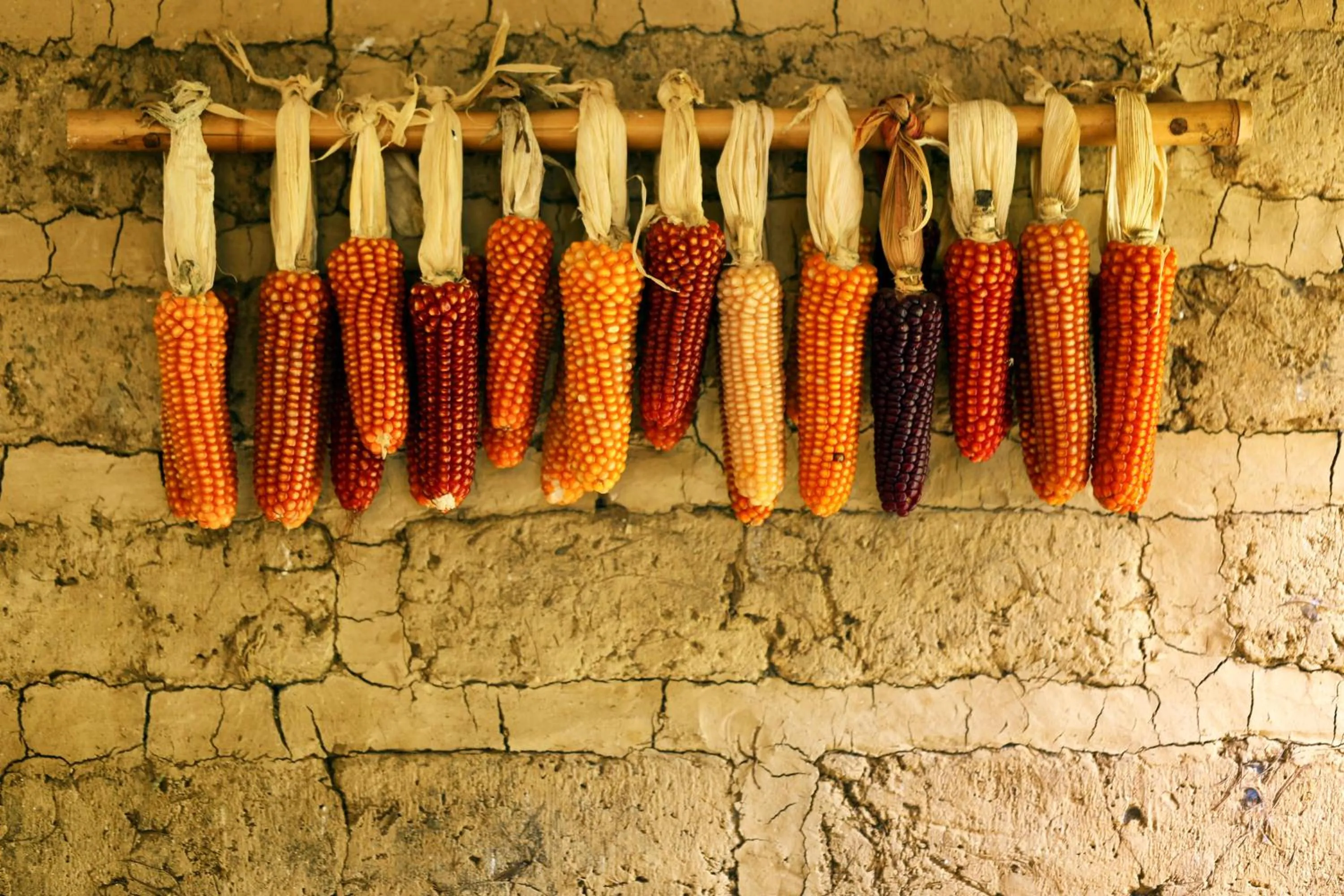 Decorative detail in Villa Santa Catarina