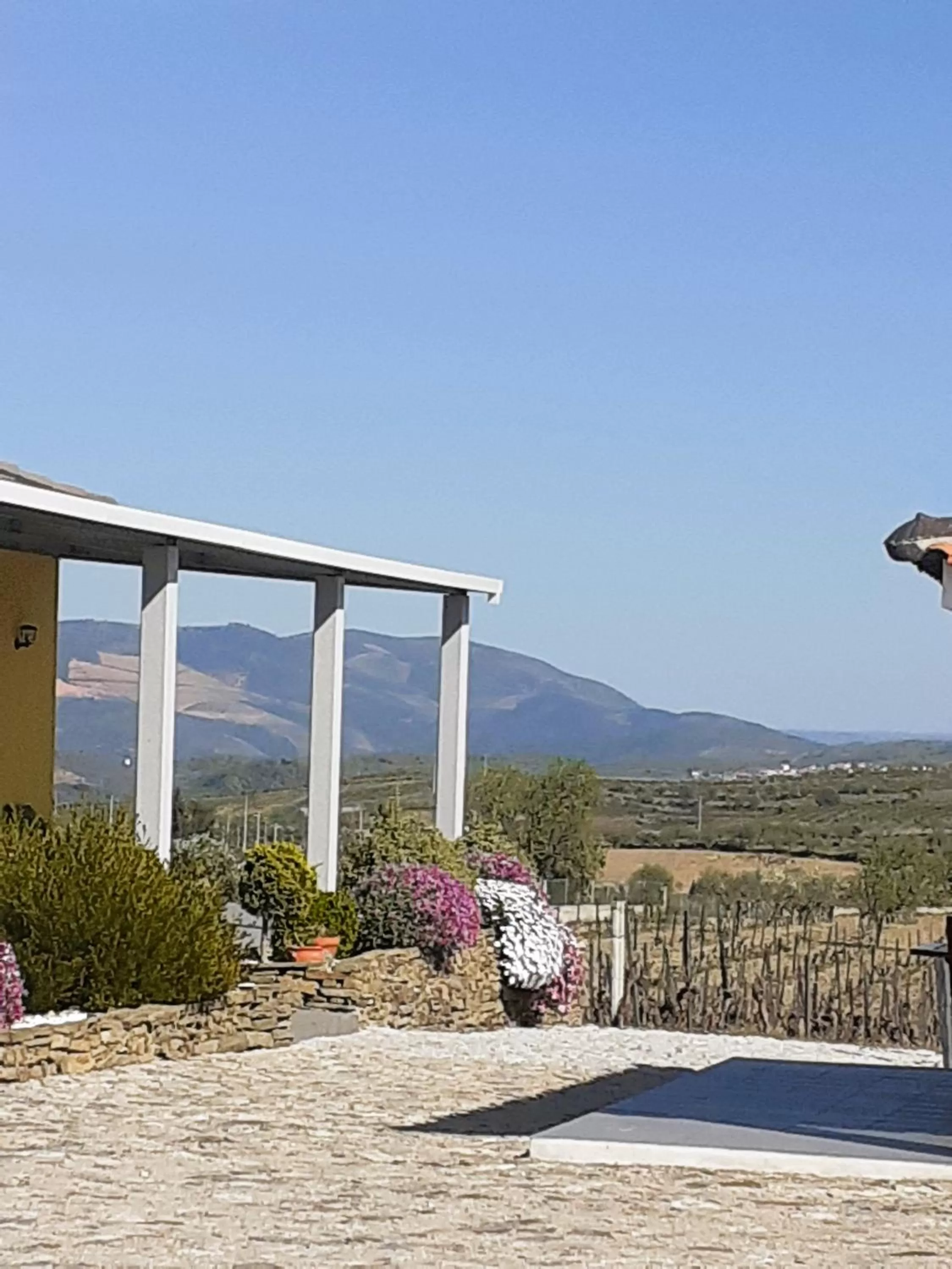 View (from property/room) in A Flor da Rosa