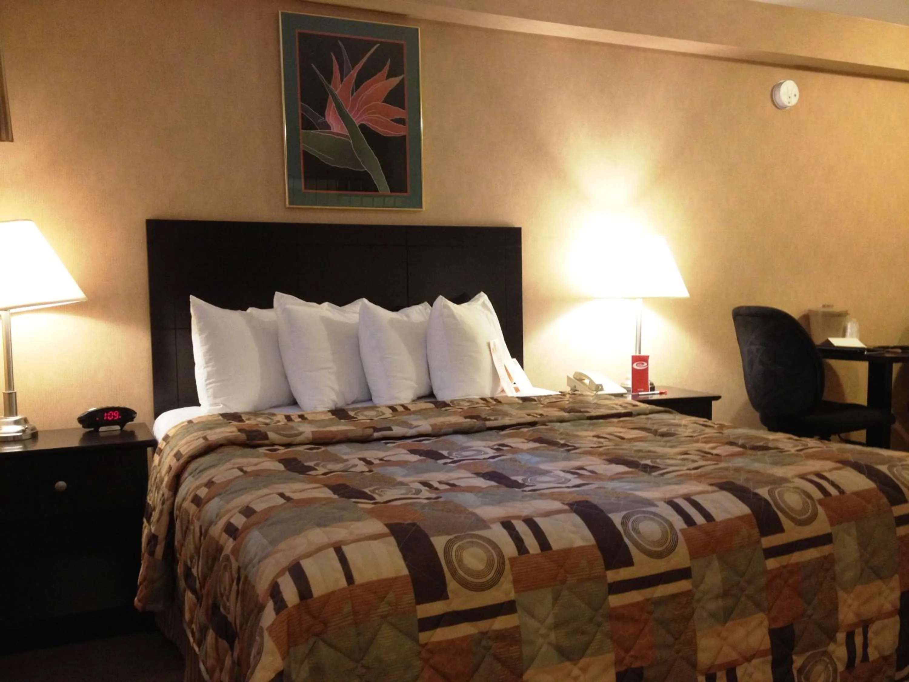 Queen Room with Sofa Bed - Non-Smoking in Woodstock Inn and Suites