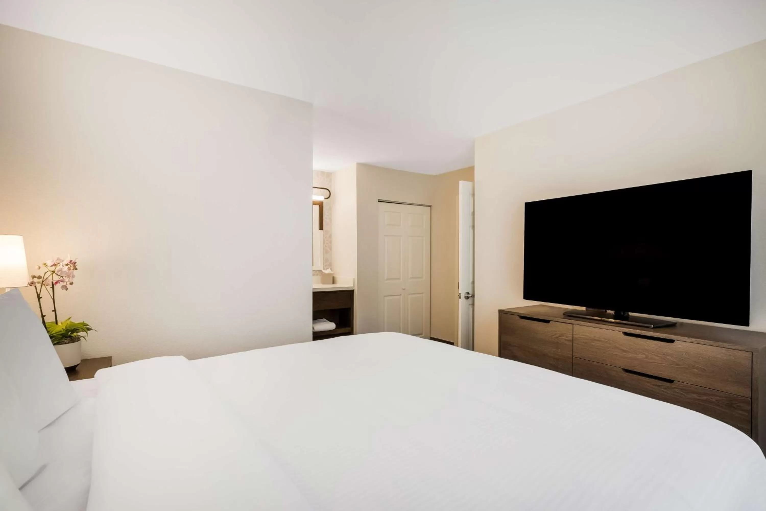 Photo of the whole room, Bed in Sonesta ES Suites Denver South Park Meadows