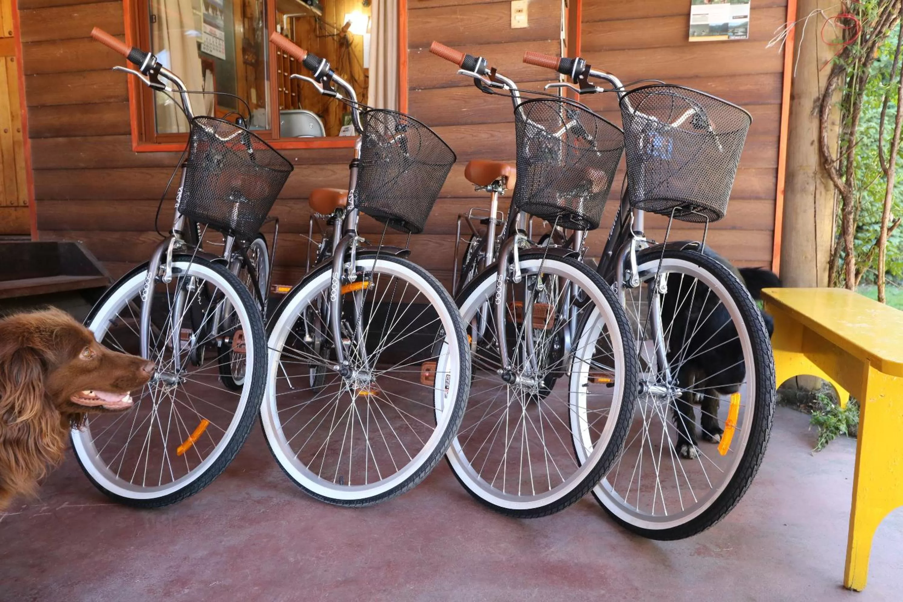 Cycling, Biking in Santa Maria Pucon