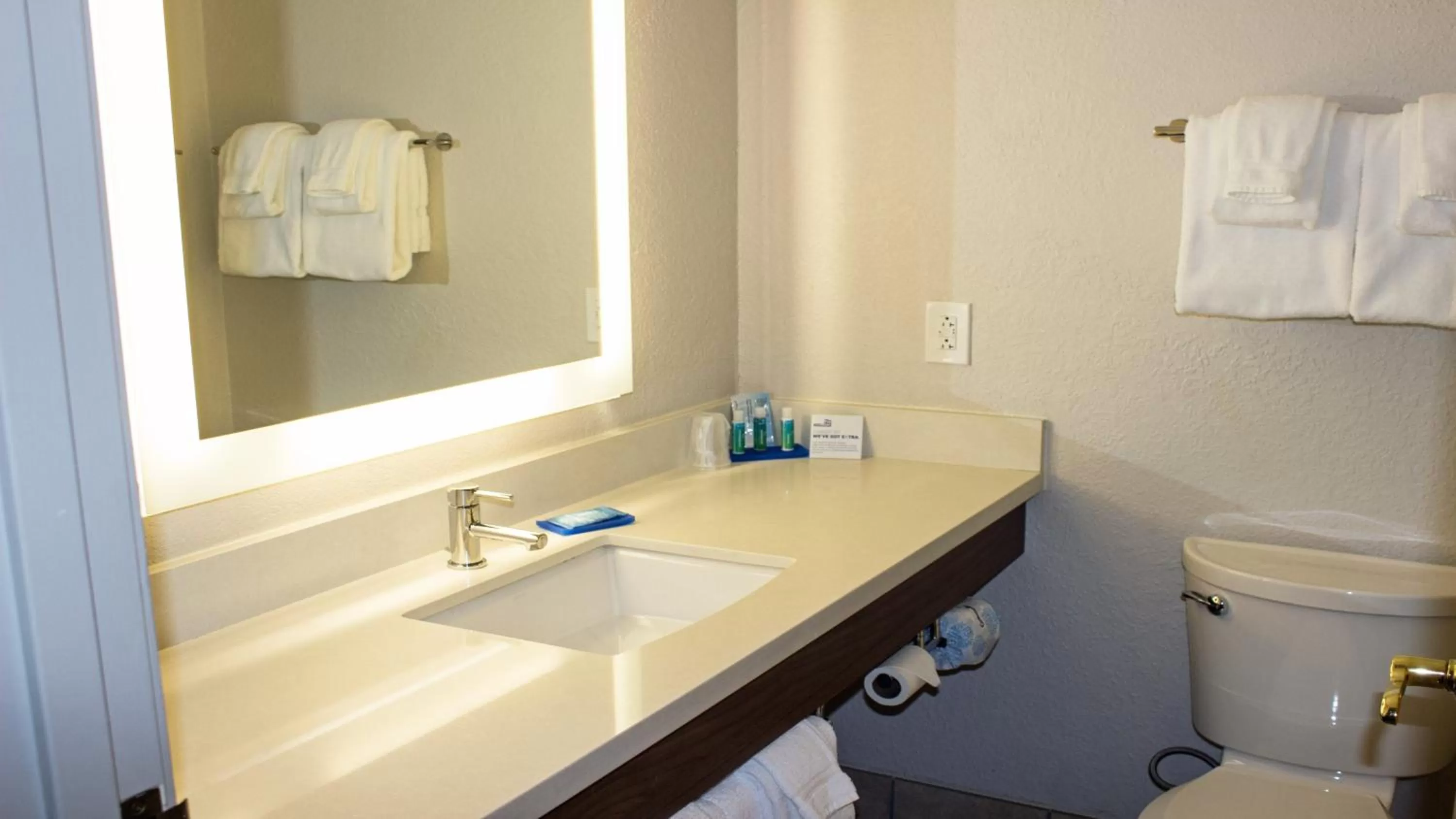 Bathroom in Holiday Inn Express Winfield - Teays Valley by IHG