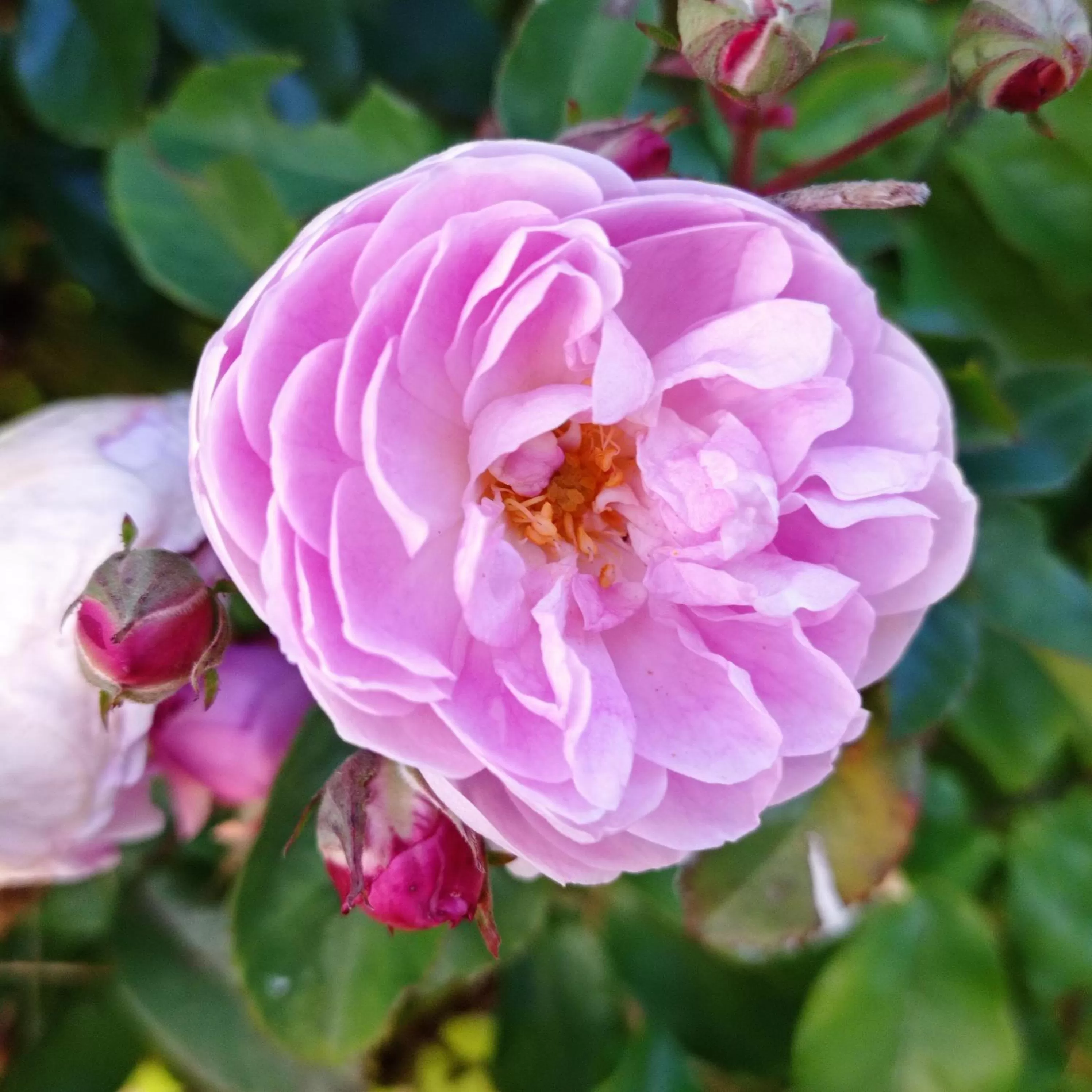 Hotel Refugio Pozo Azul