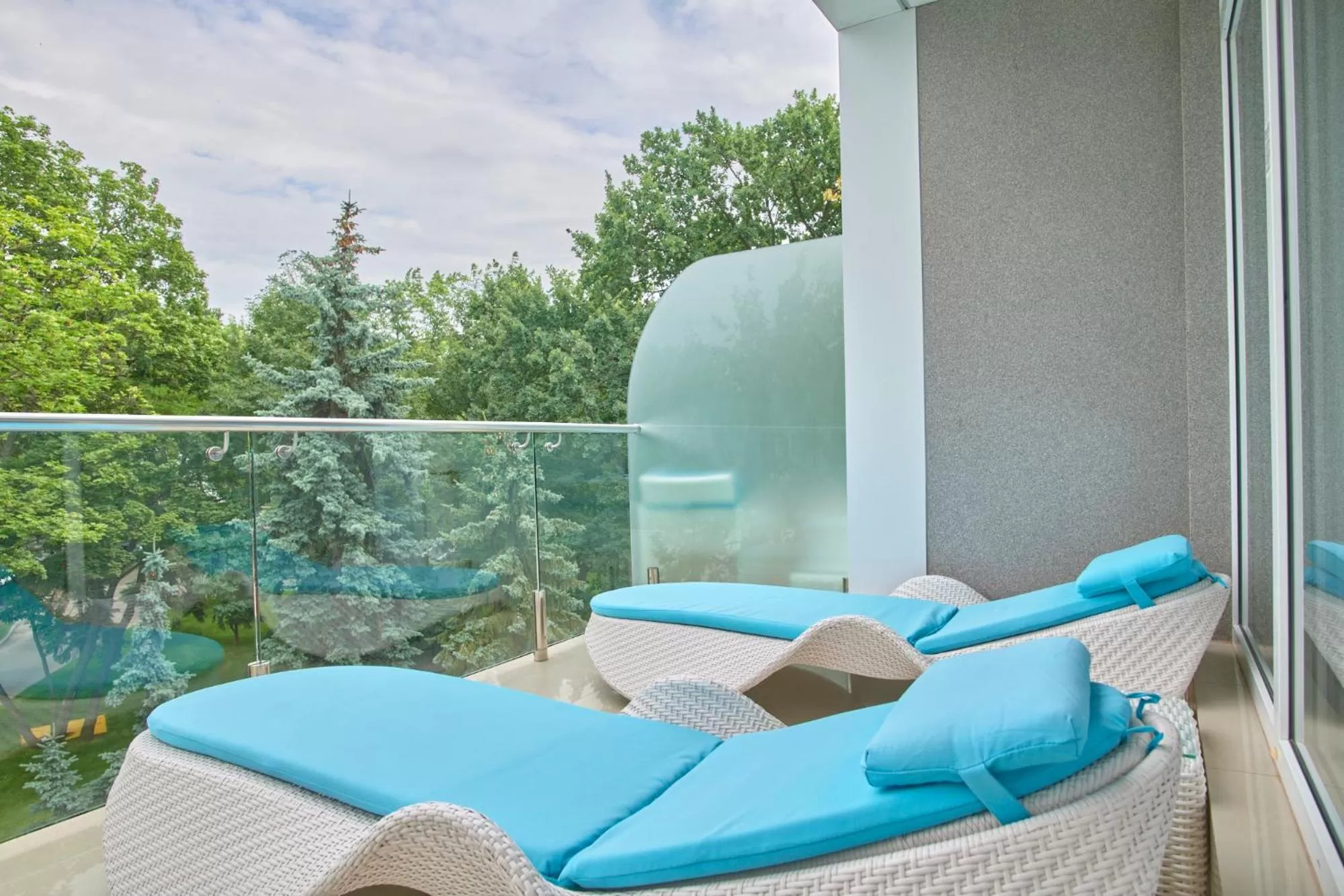 Balcony/Terrace in Hotel & Spa NEMO with dolphins