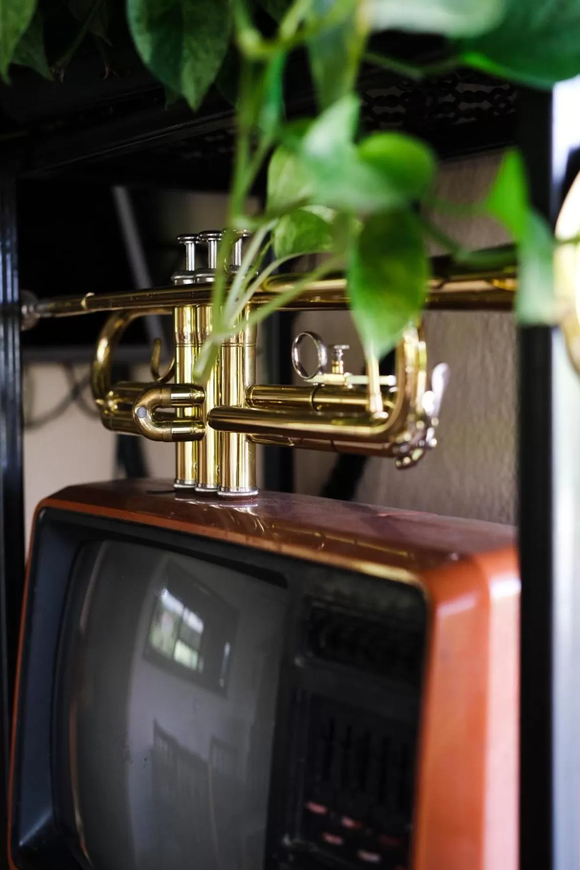 Kitchen/Kitchenette in Hotel Vila Bruci