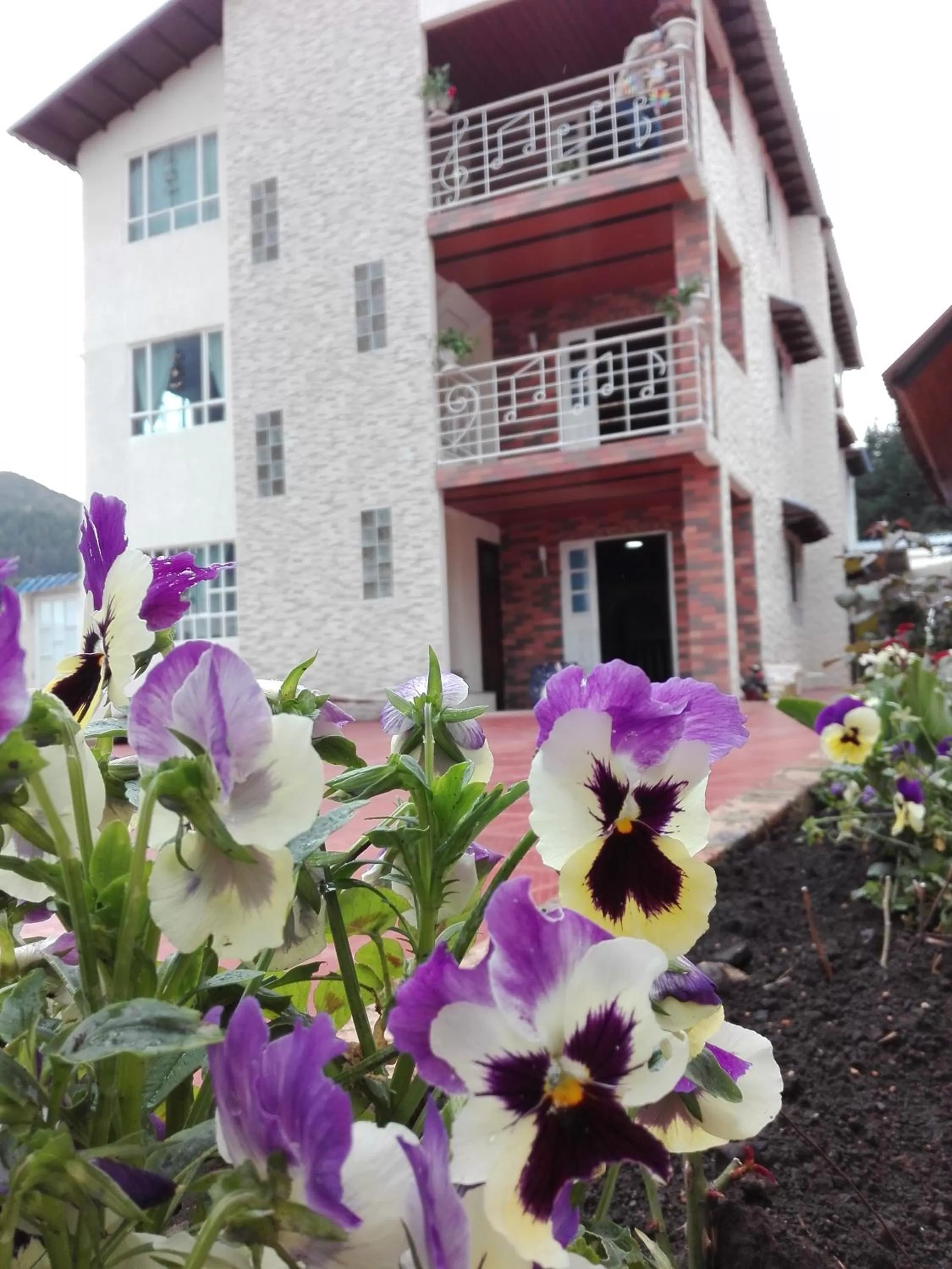 Property Building in Portal de la Cascada - Mongui