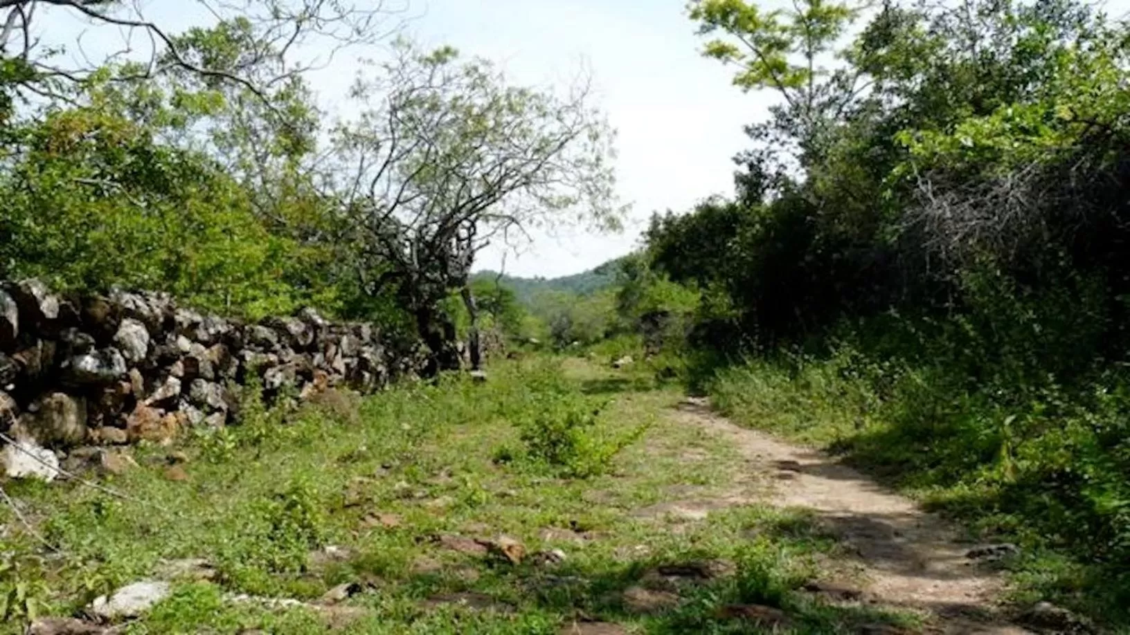 Nearby landmark, Natural Landscape in Finca San Pedro