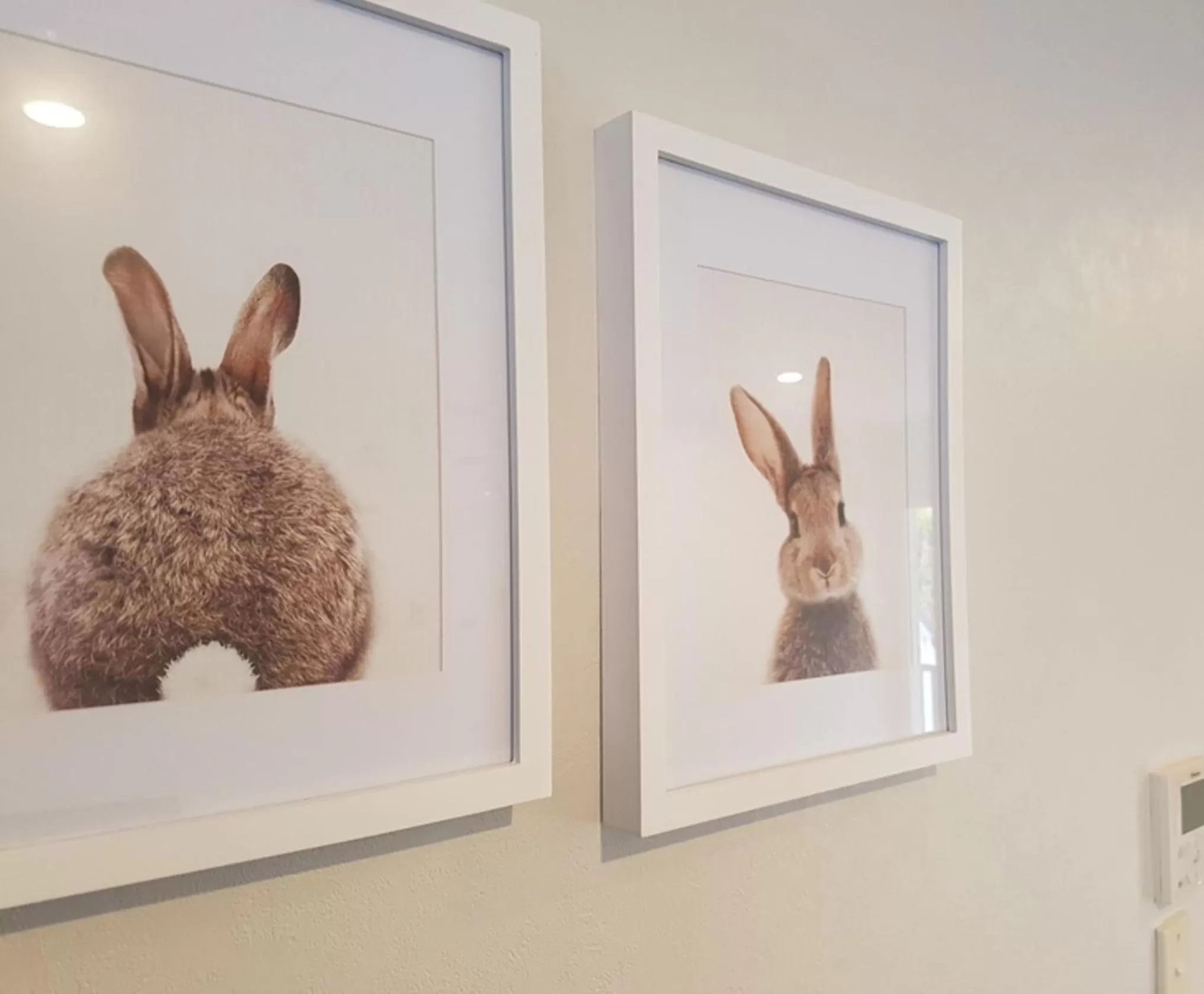 Decorative detail in ASURE Destiny on Fitzherbert Motel