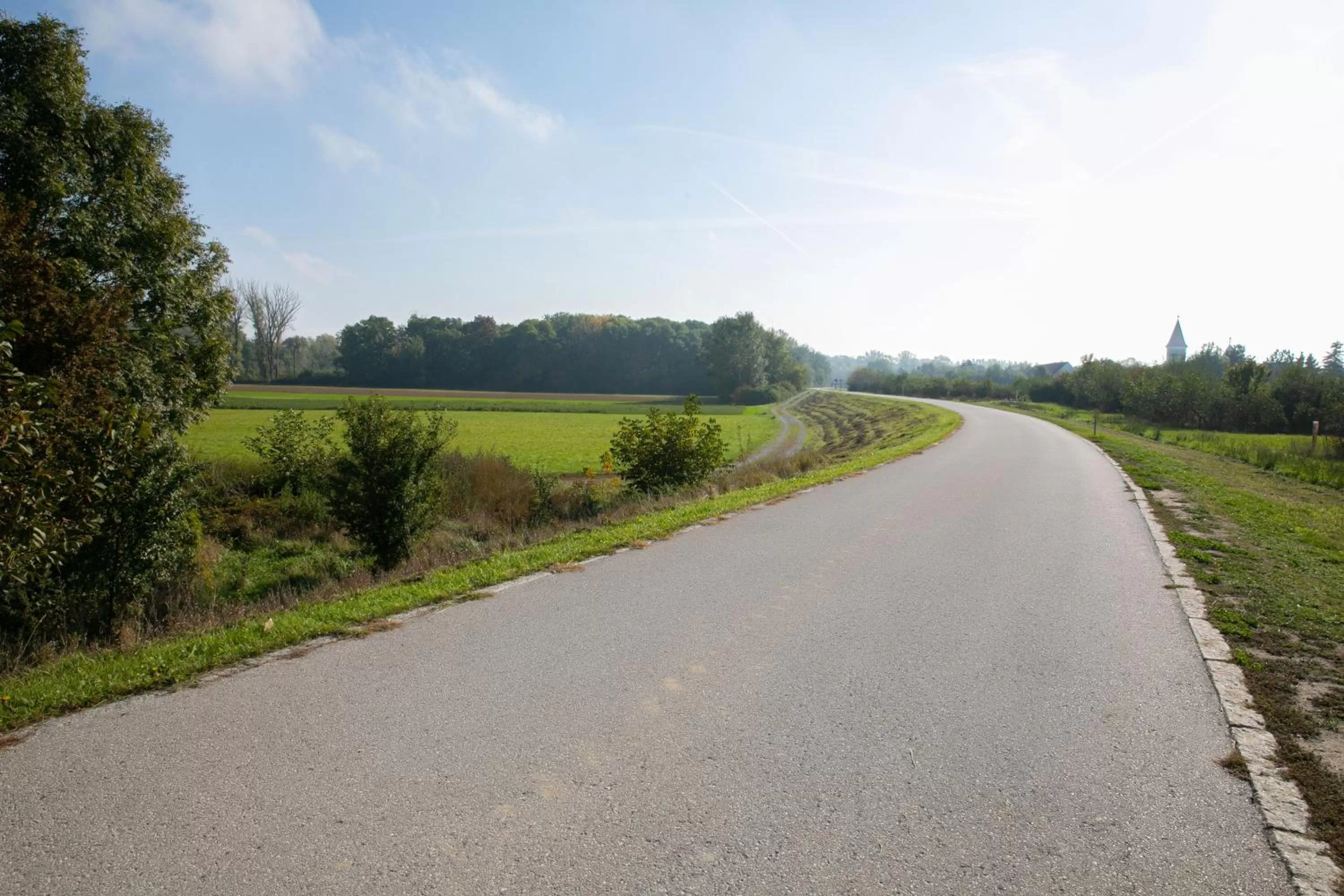Area and facilities in Das Reinisch Just Rooms