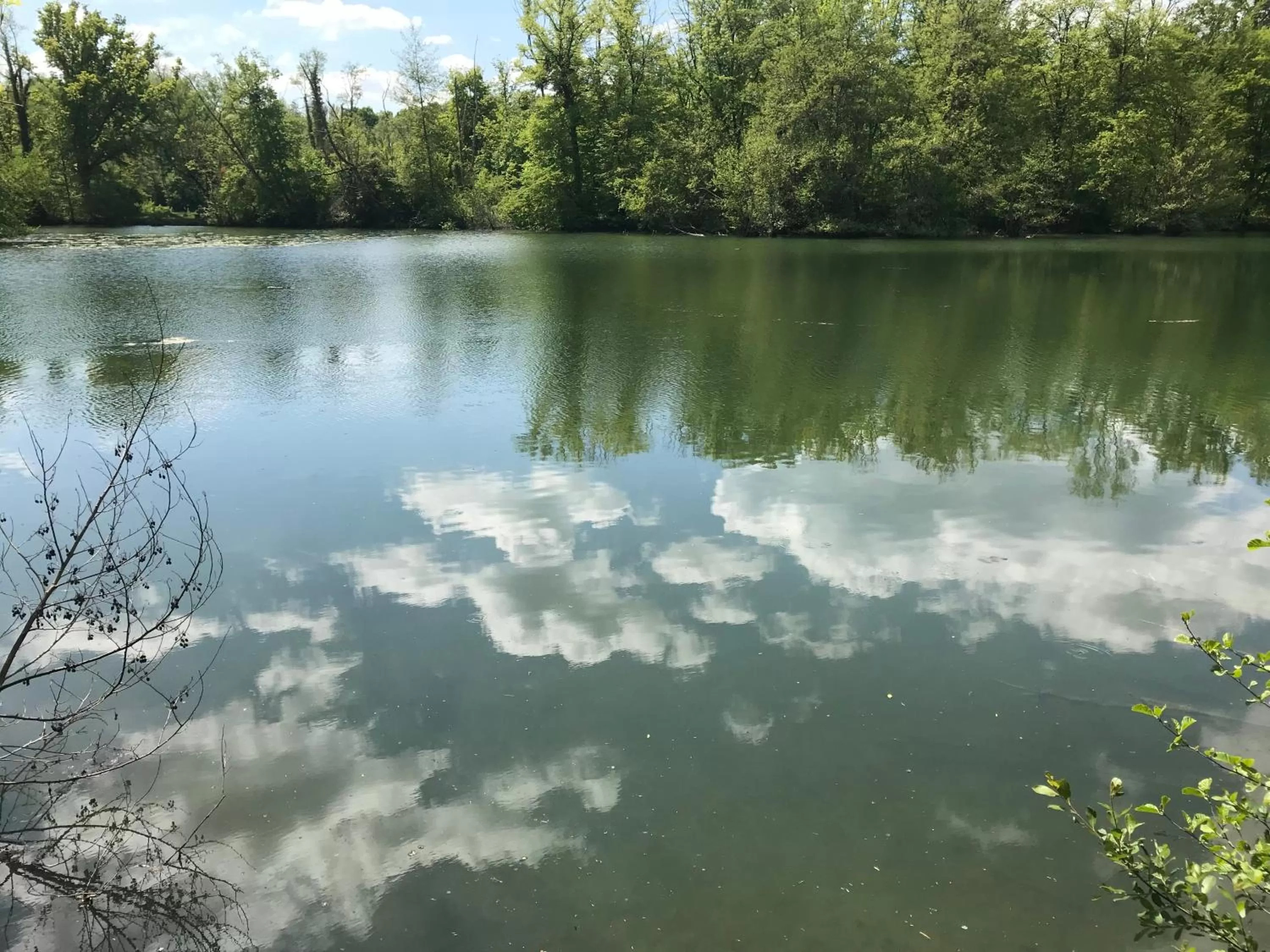 Natural landscape in Toute Une Histoire près de Fontainebleau