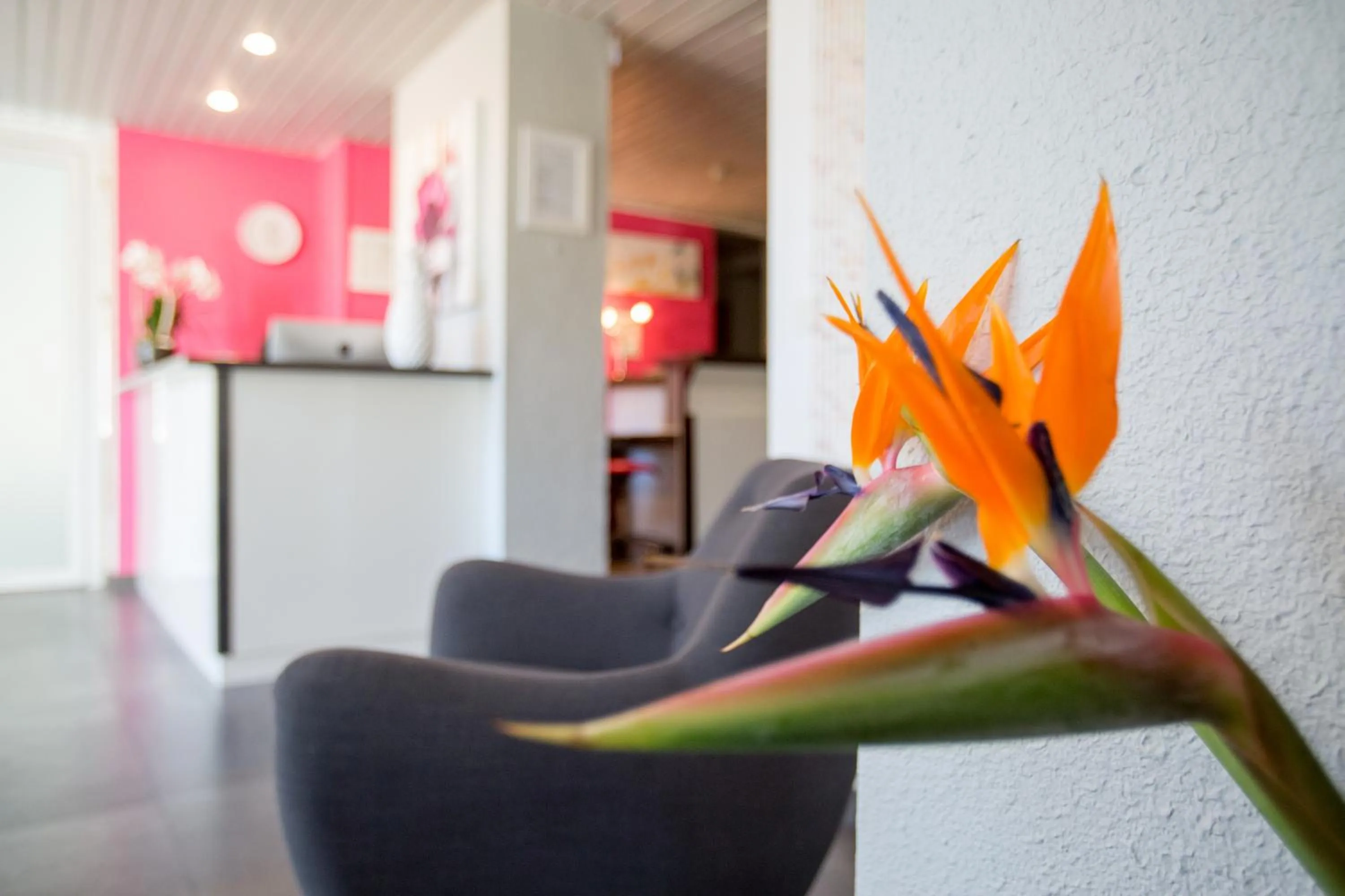 Lobby or reception in Bel Ombra Hôtel