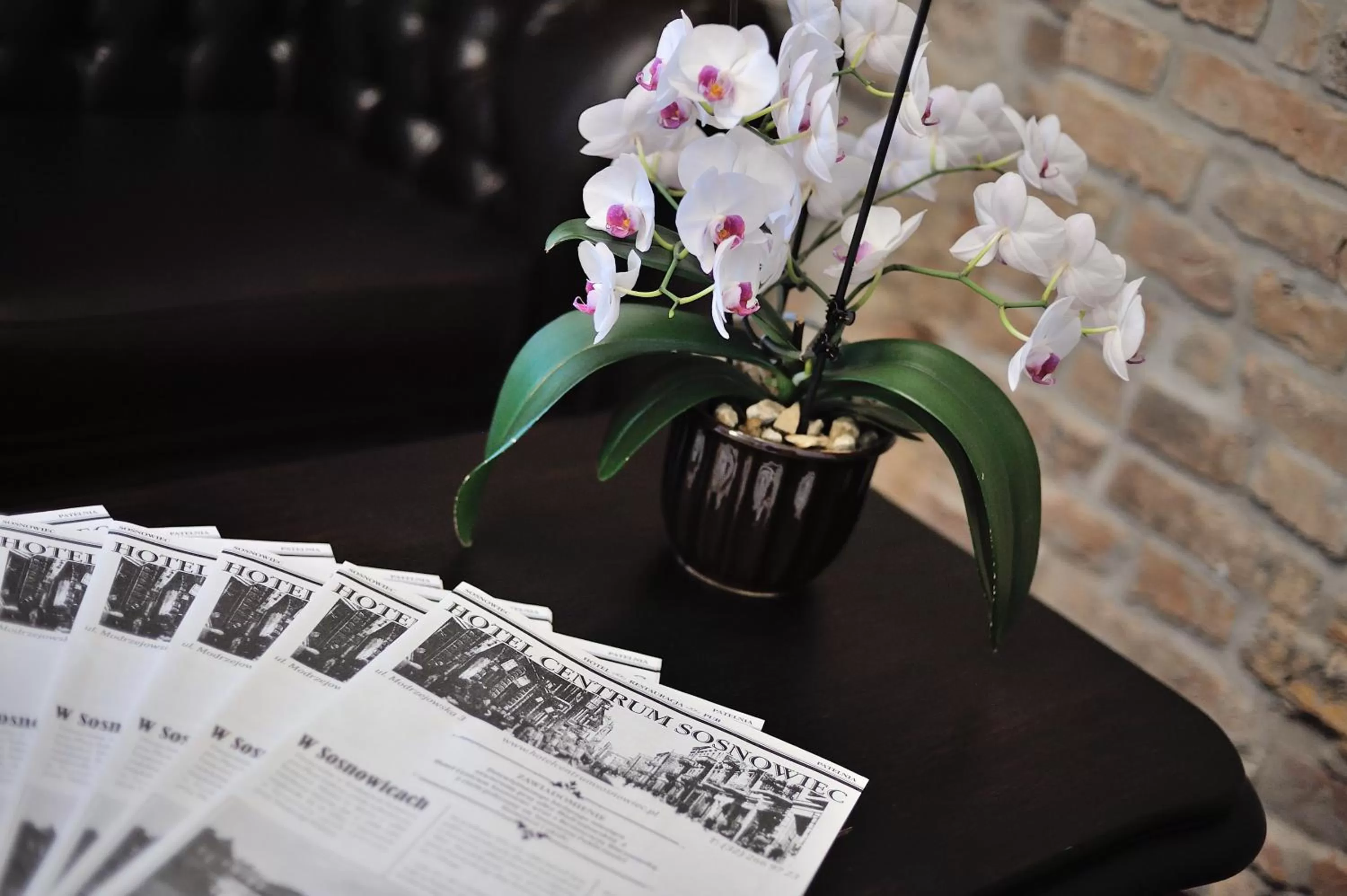 Lobby or reception in Hotel Centrum Sosnowiec