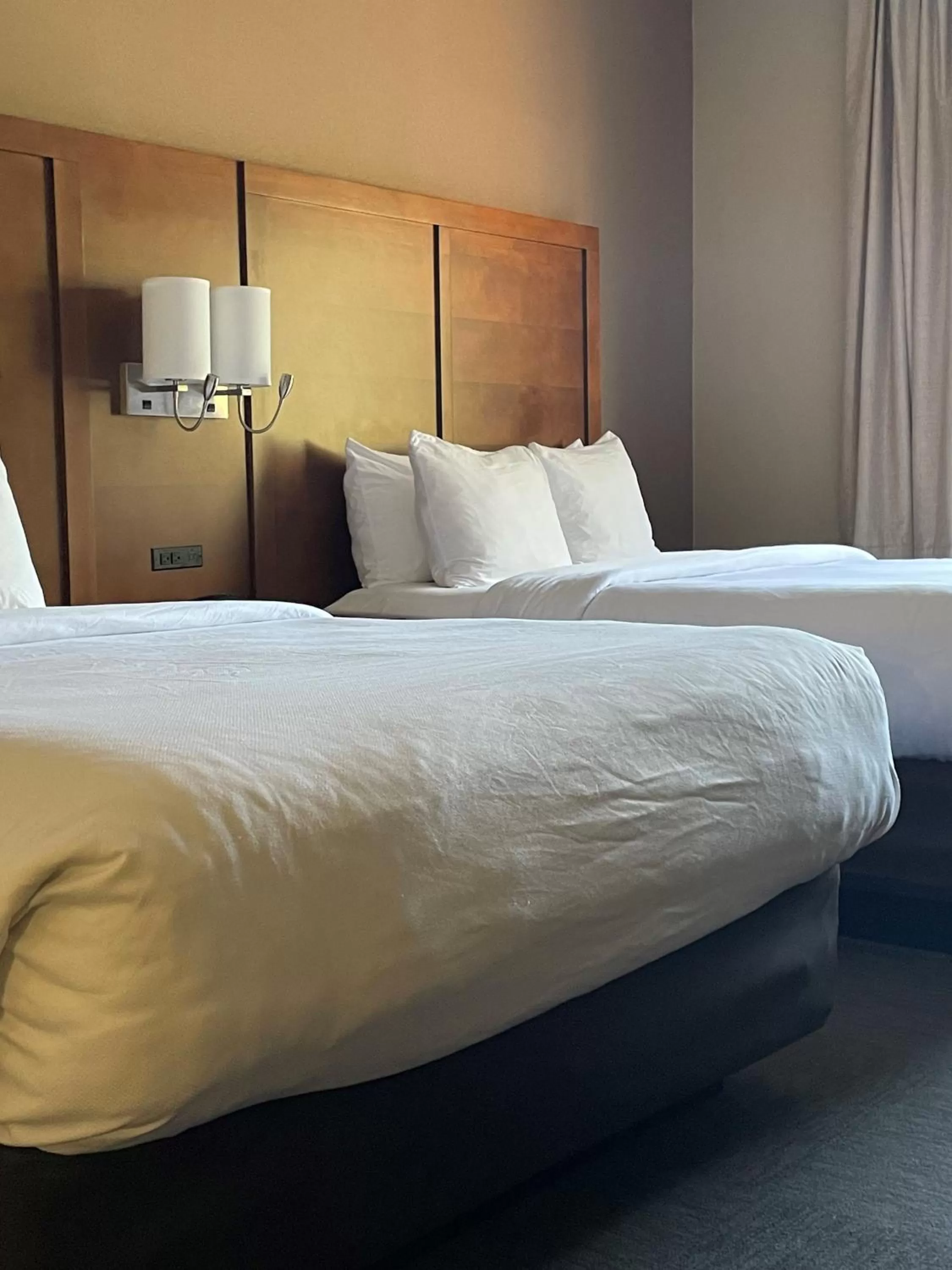 Bed in Baymont by Wyndham Phoenix North