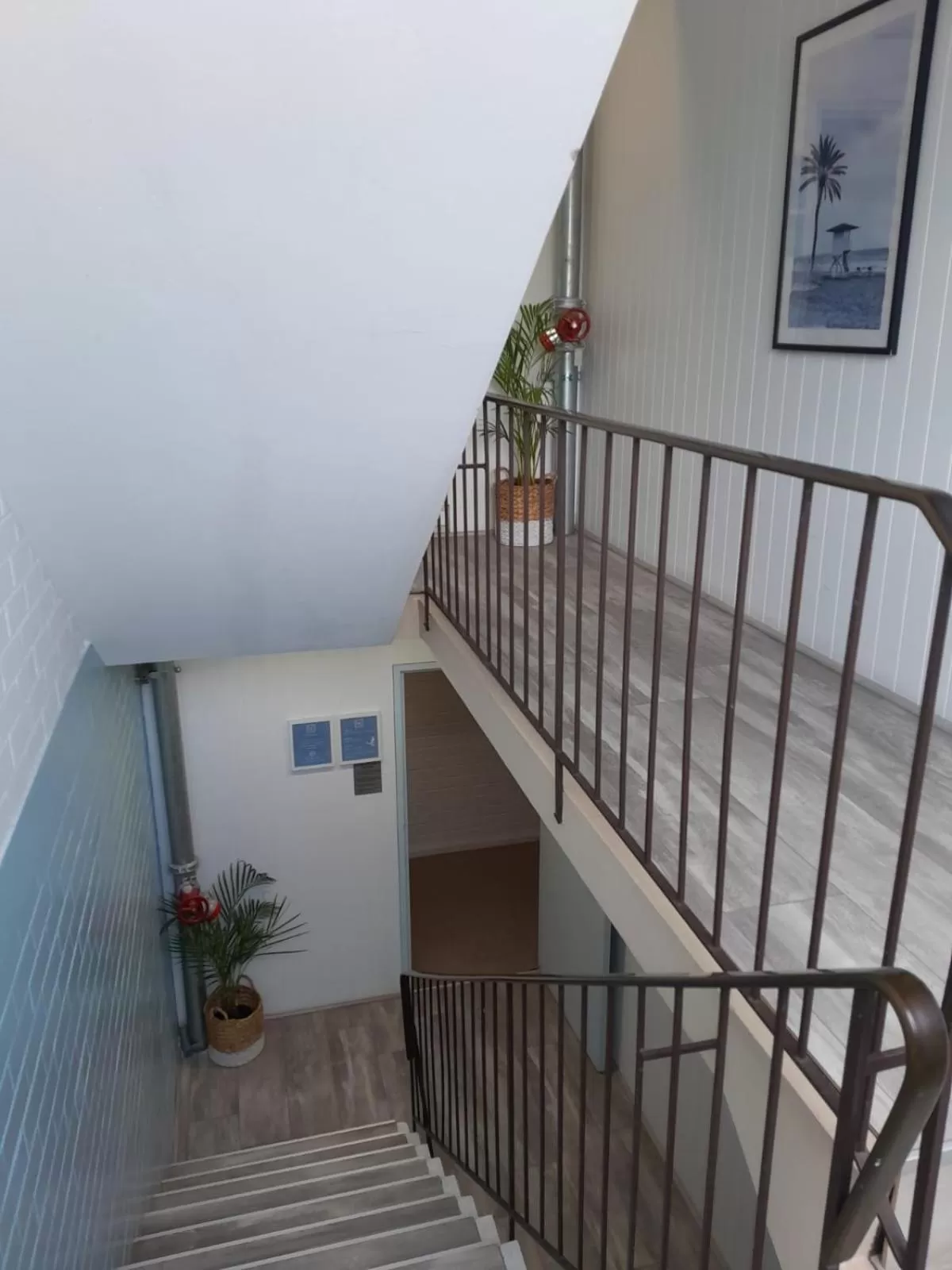 Property building in Little Coogee Hotel