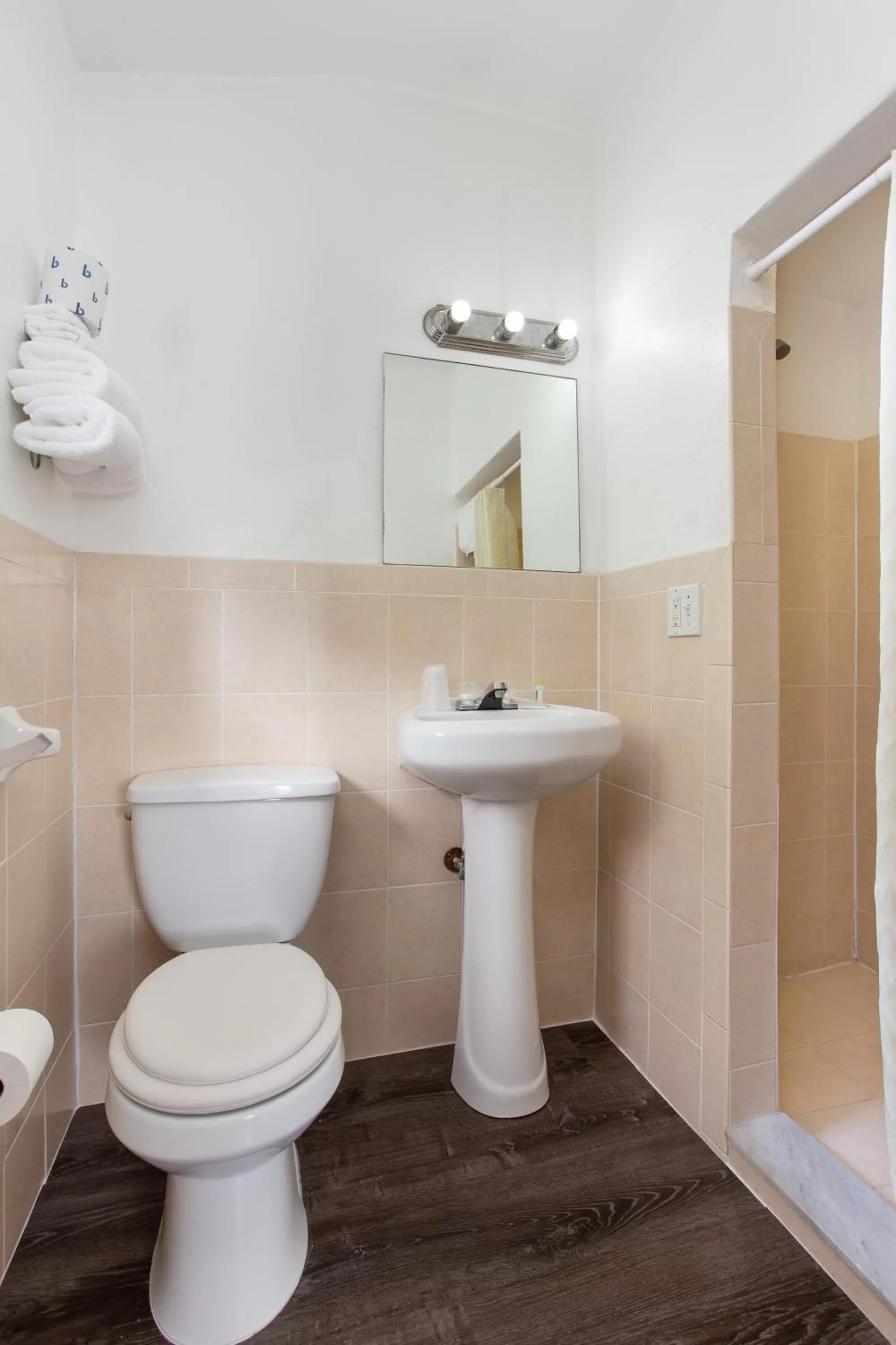 Bathroom in Travel Inn of Titusville