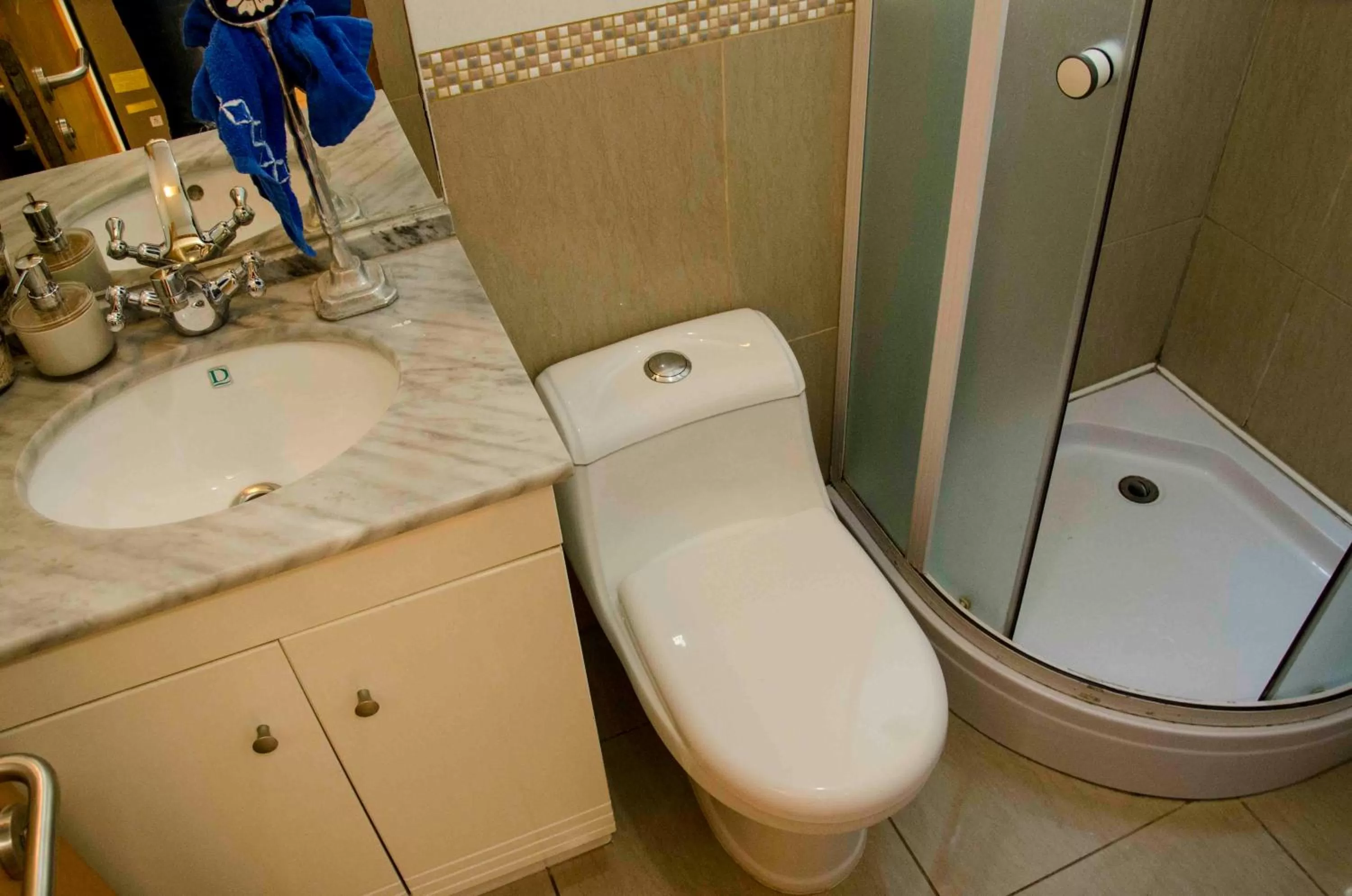 Bathroom in Bed and Breakfast Manque