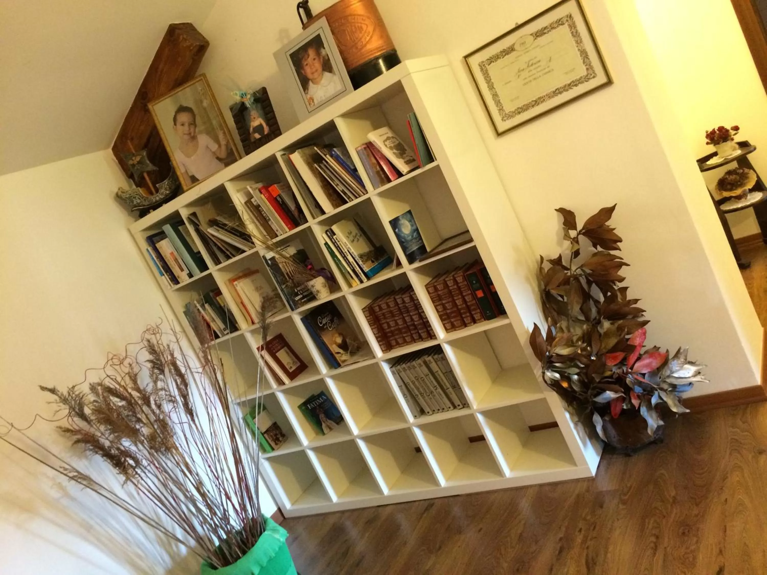 Library, Lobby/Reception in Casa Pellis