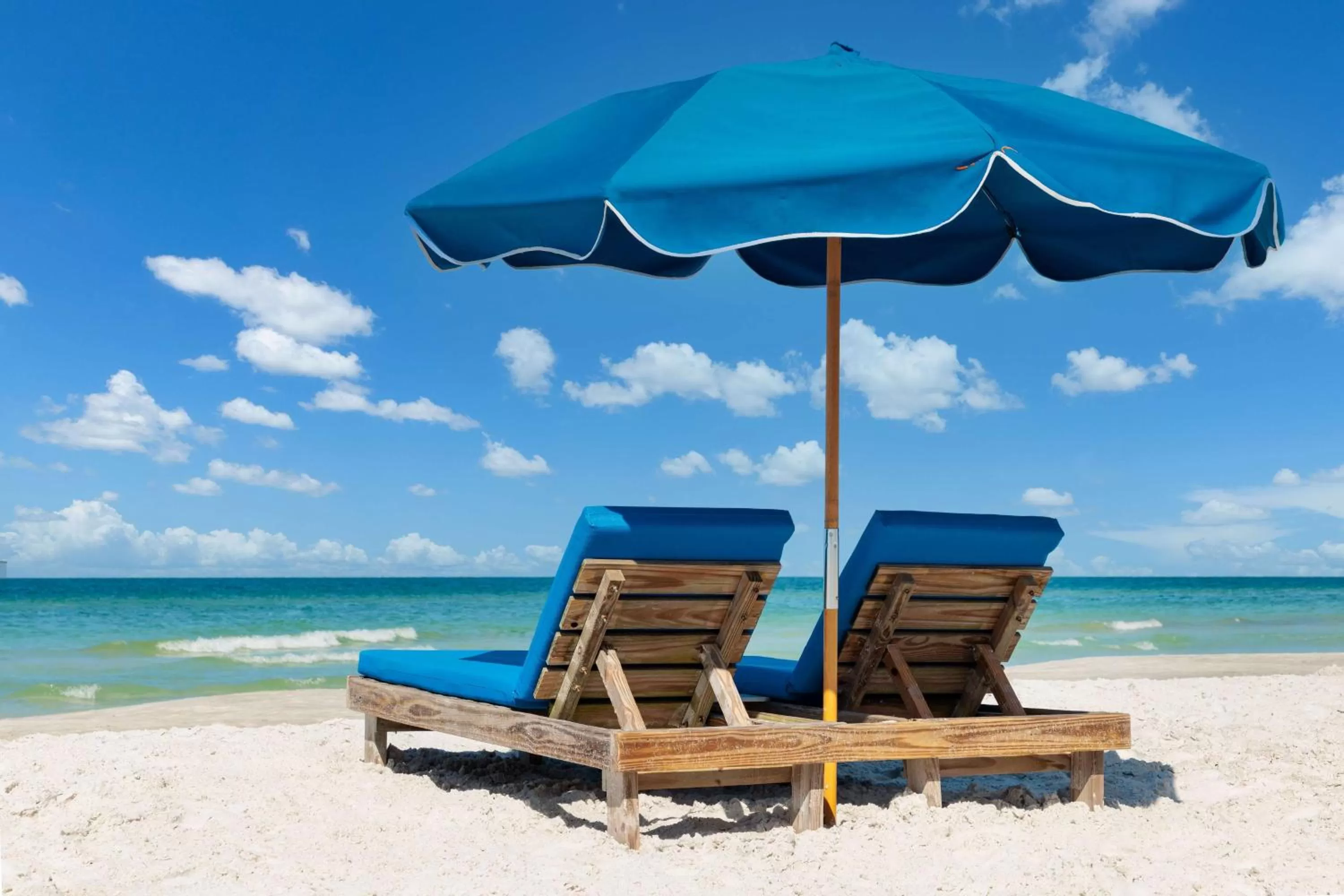 Beach in DoubleTree Beach Resort by Hilton Tampa Bay – North Redington Beach