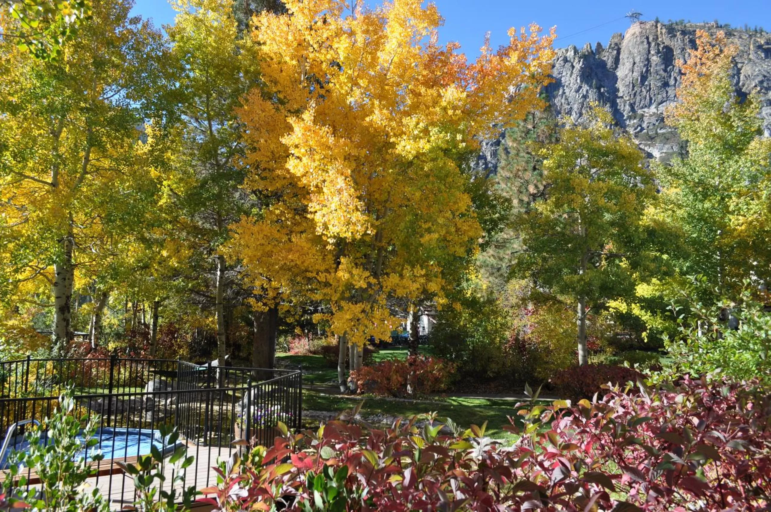 Natural landscape in Olympic Village Inn Olympic Valley